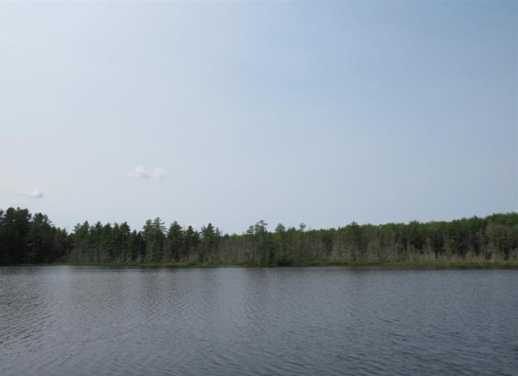 Listing Image 28