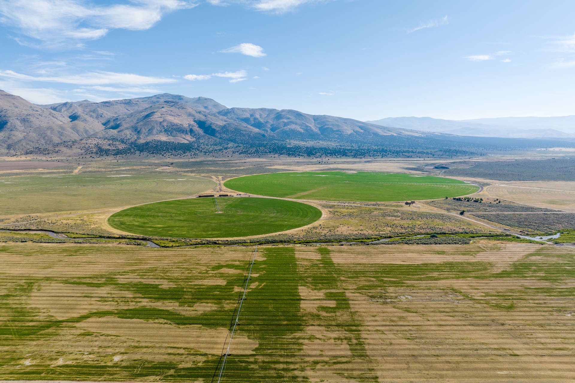 Constantia Ranch