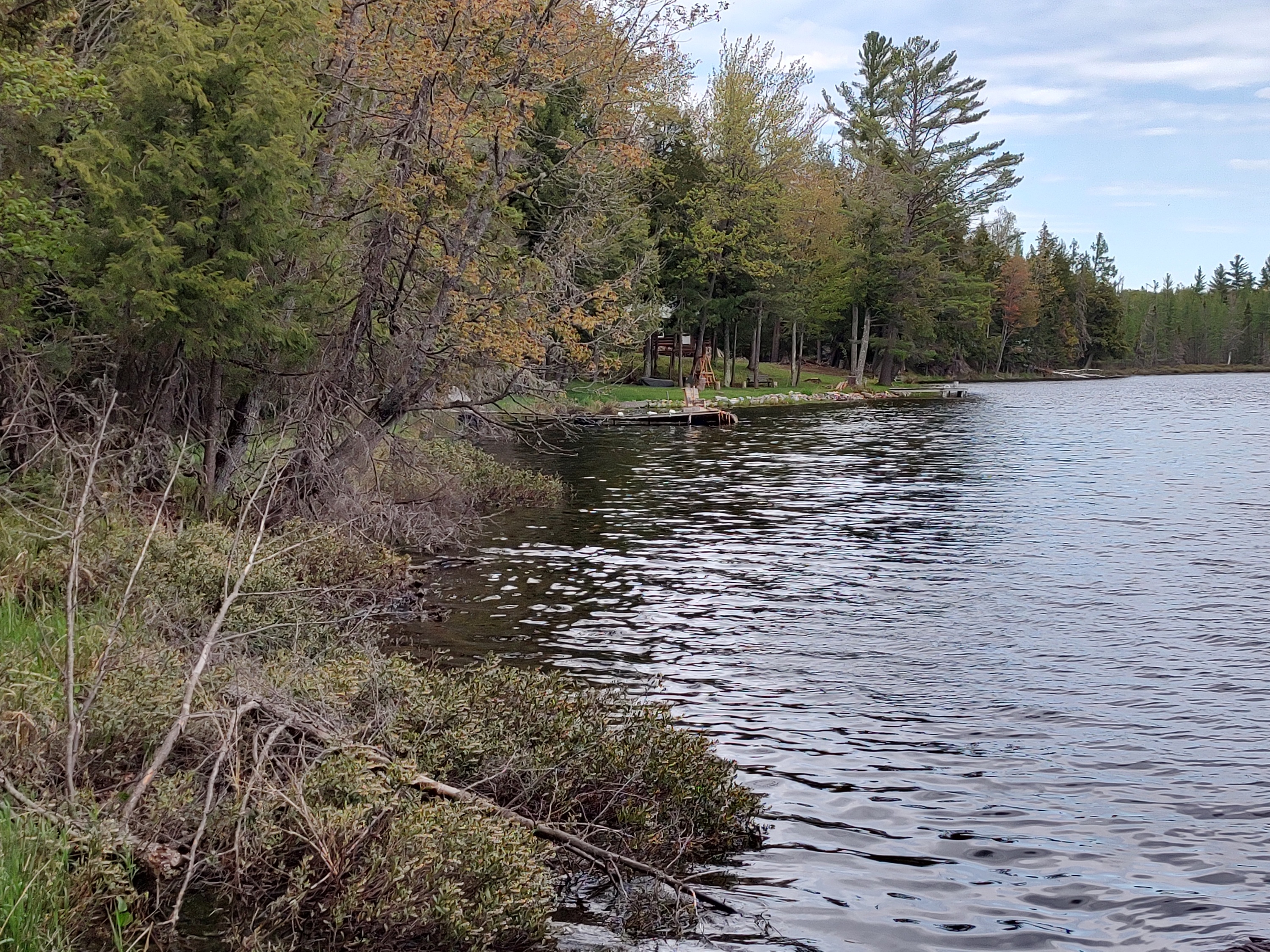 U.P. Robinson Lake Parcel 50167828