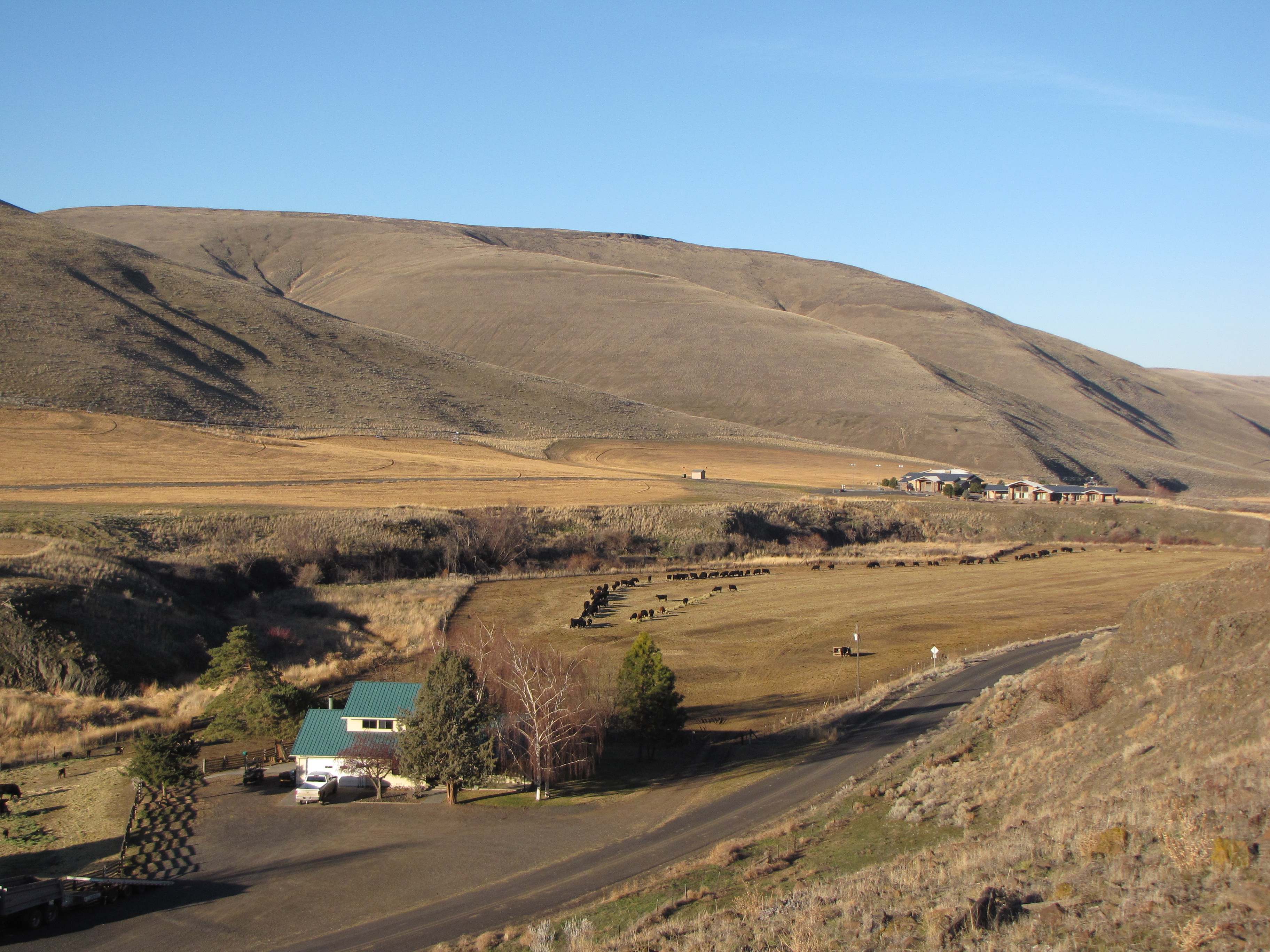 Listing Image 16