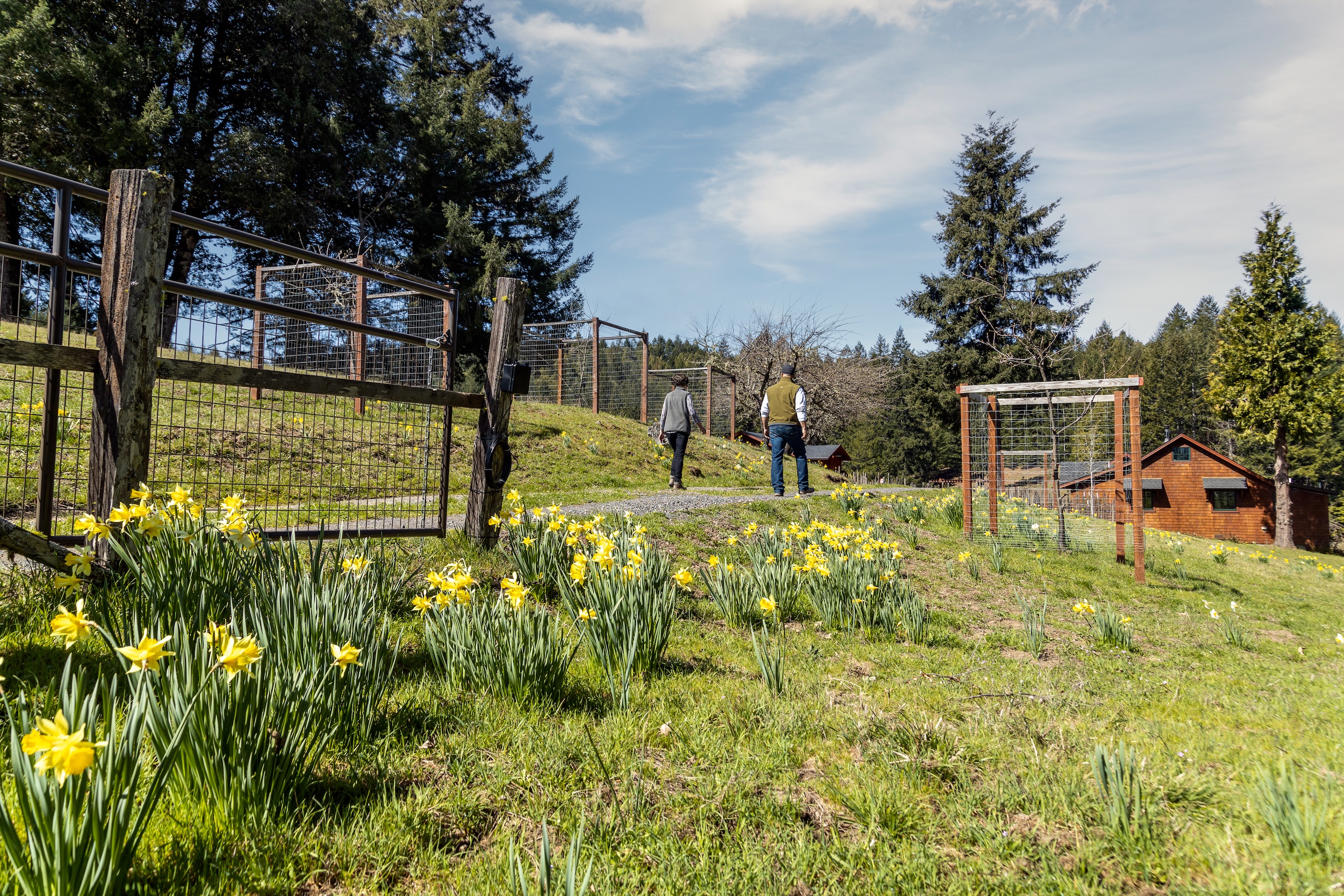 Elk Meadow Ranch