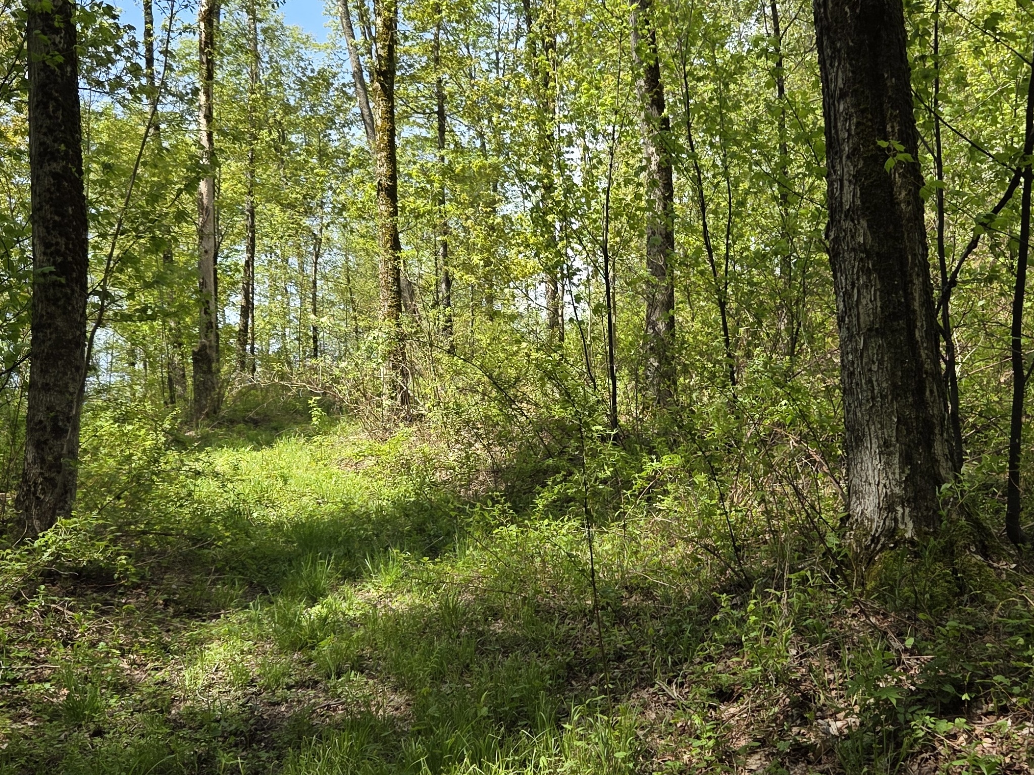 Listing Image 14