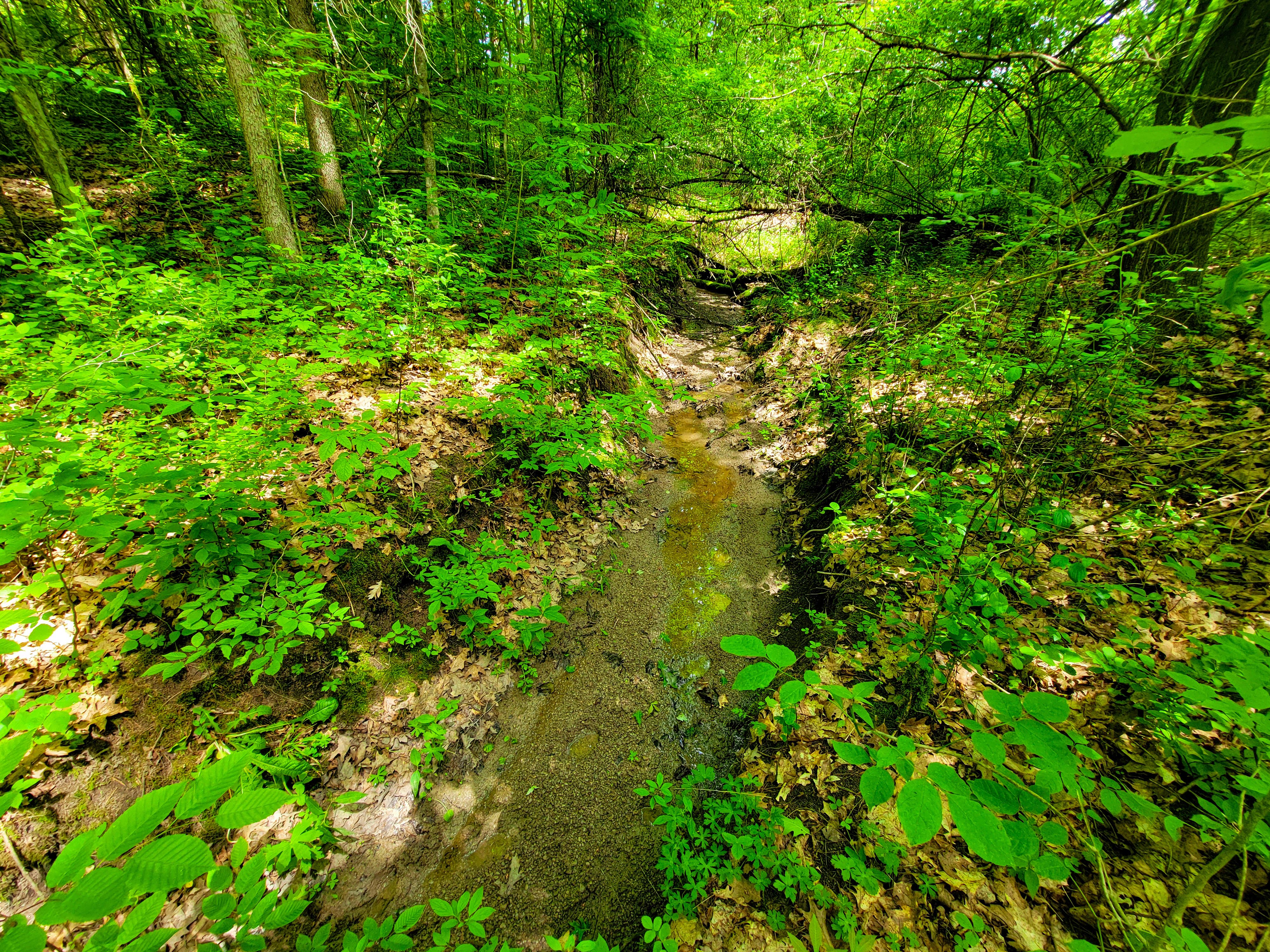 Listing Image 31