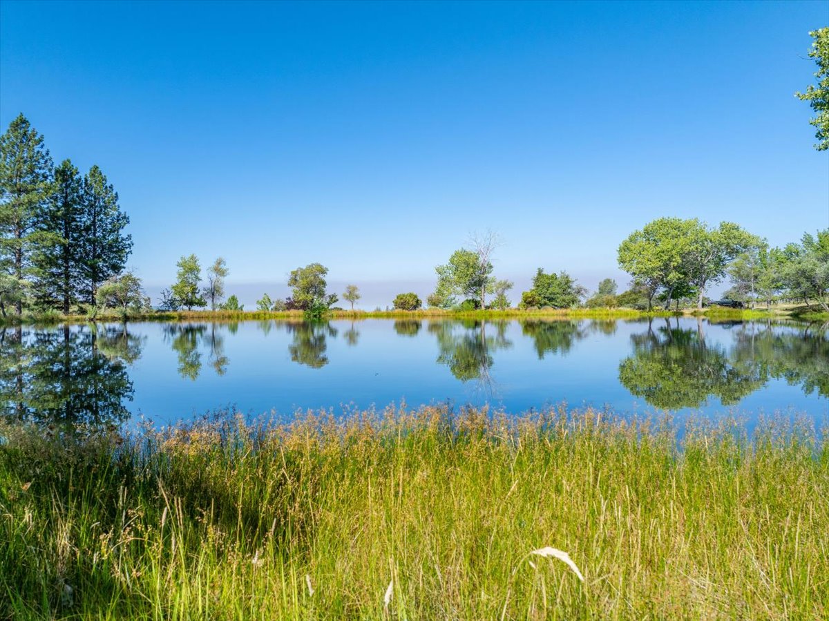 Alger Vineyards and More