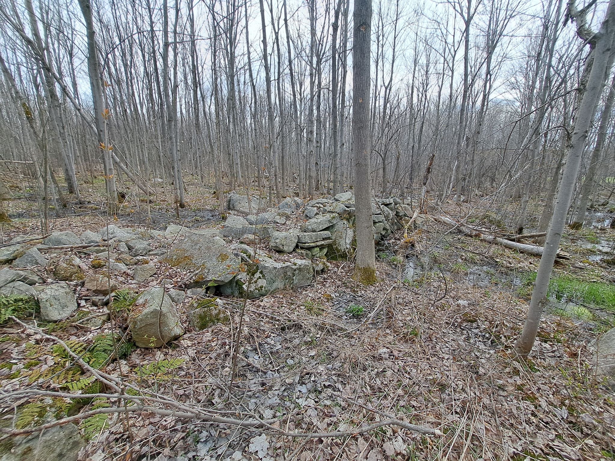 Listing Image 53