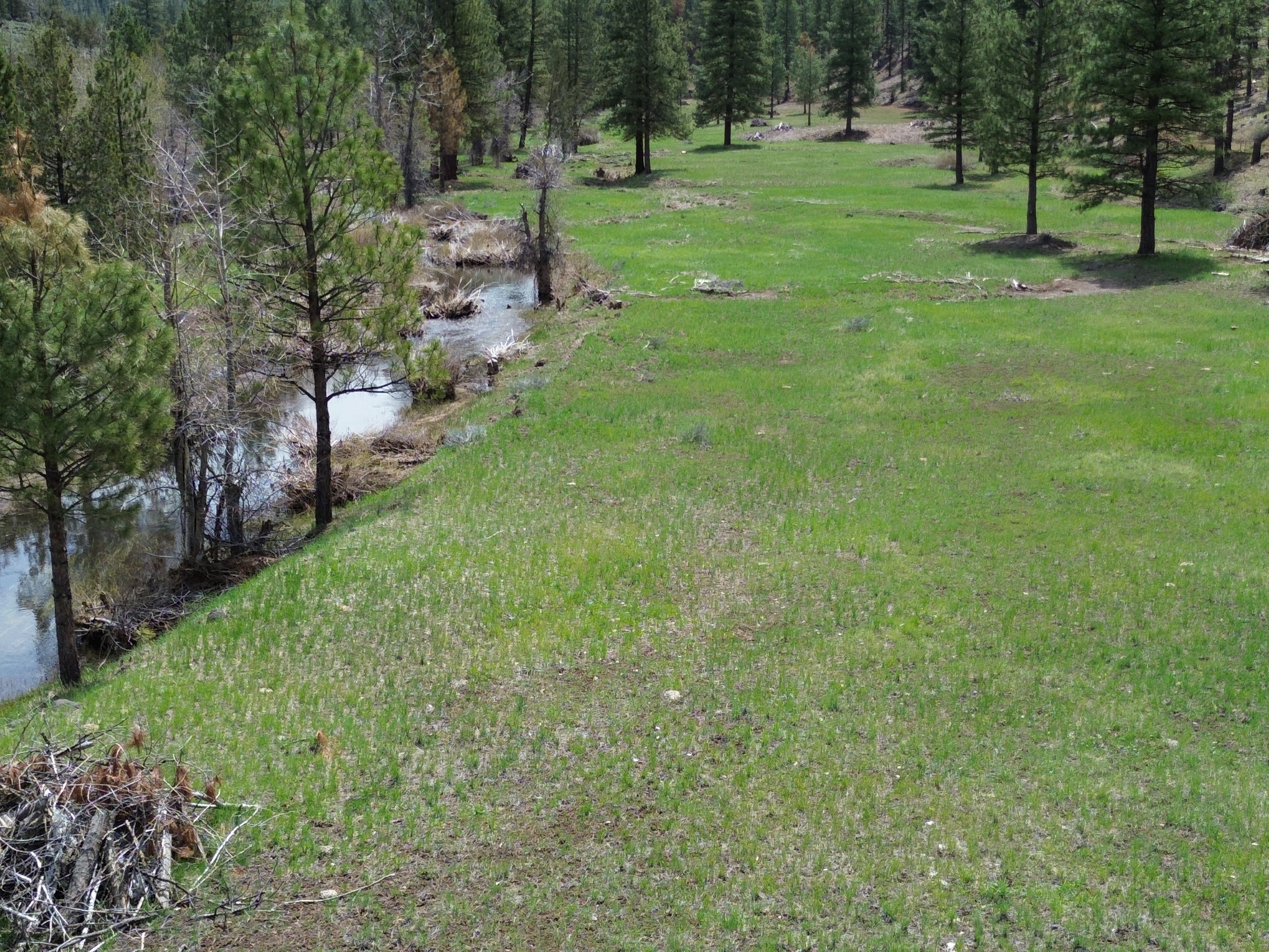 Johnson Creek Meadow