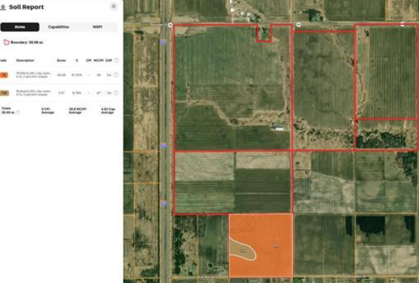Listing Image 4