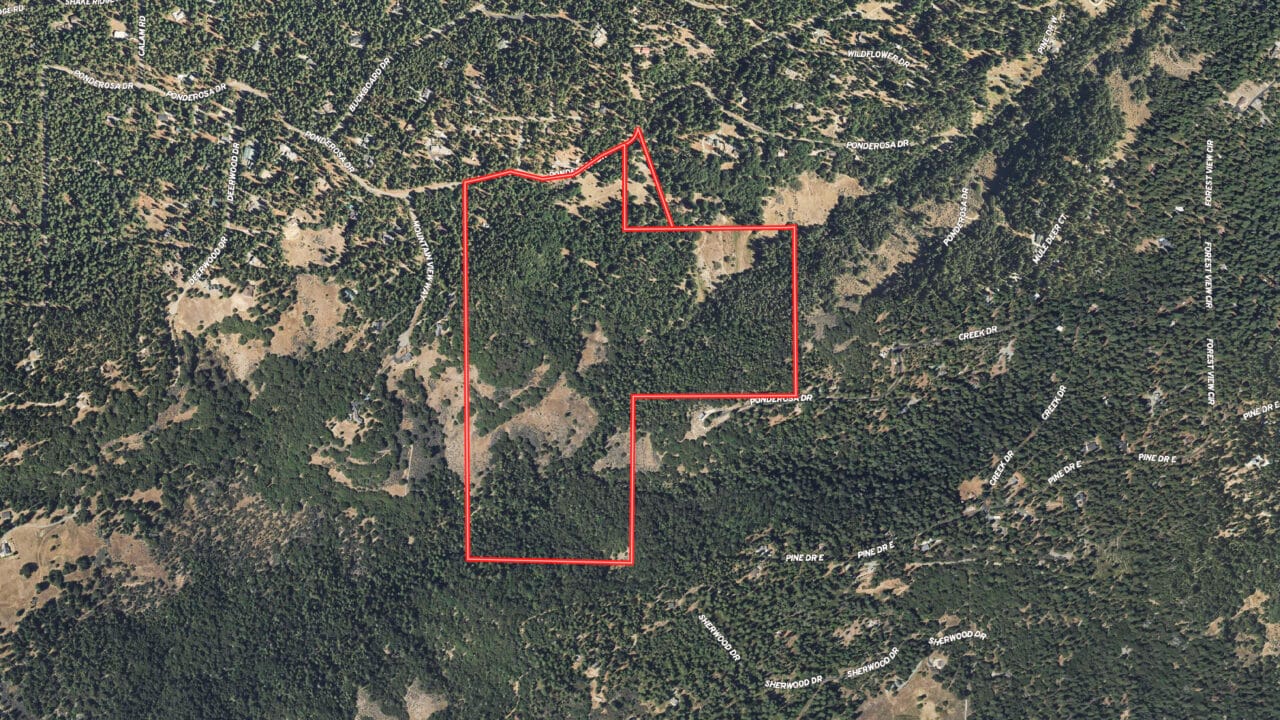 Listing Image 62