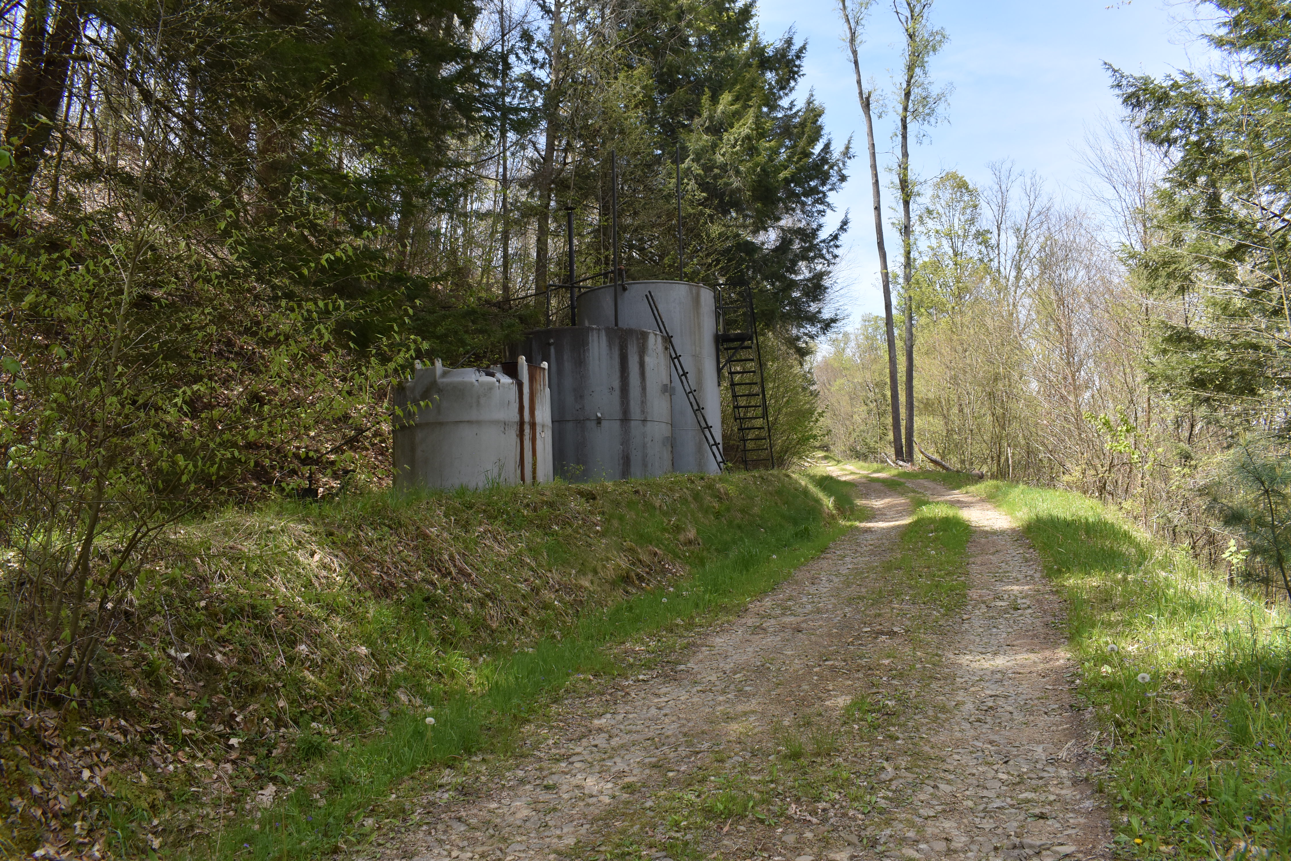 Listing Image 18