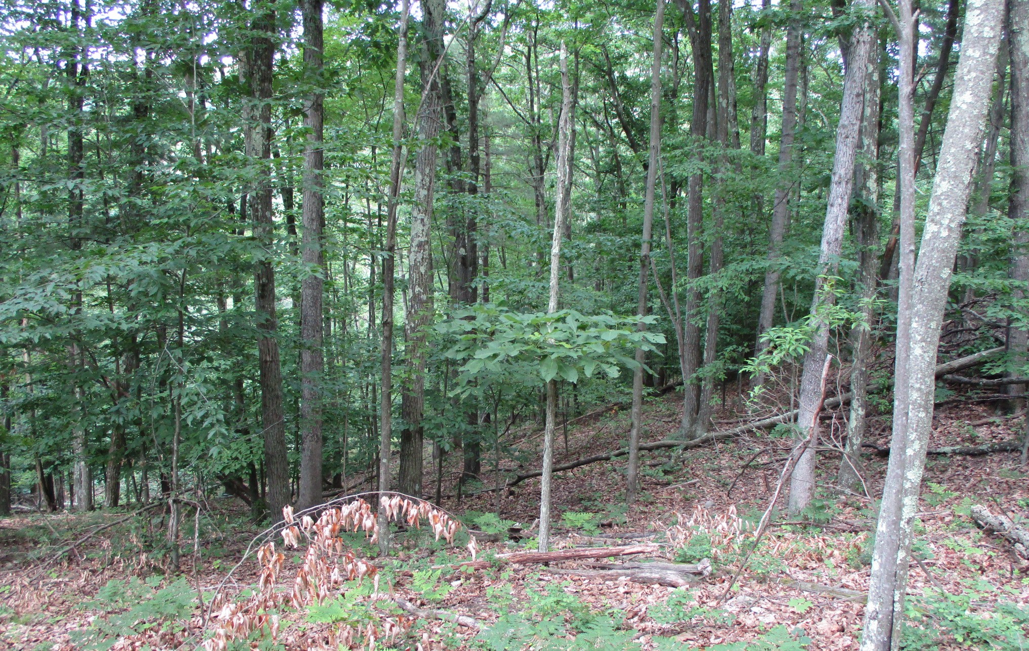Listing Image 9