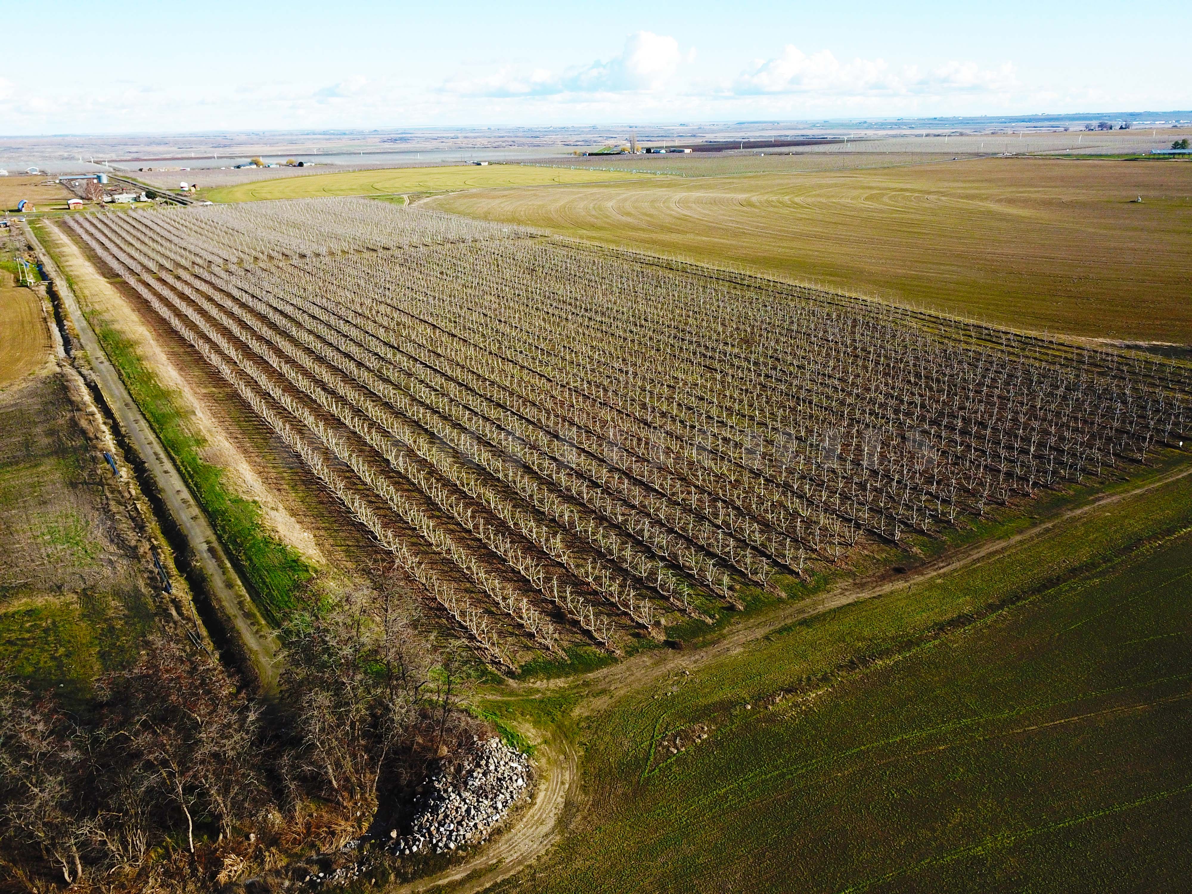 Fern Road Irrigated farm