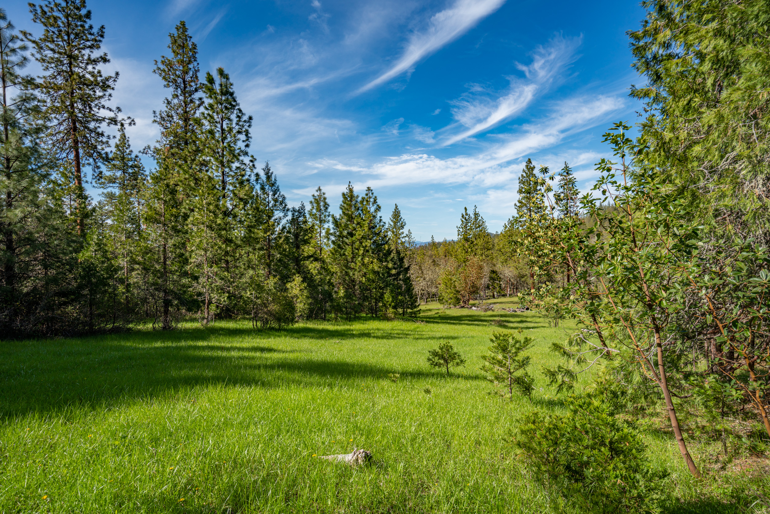 Mount Baldy Ranch