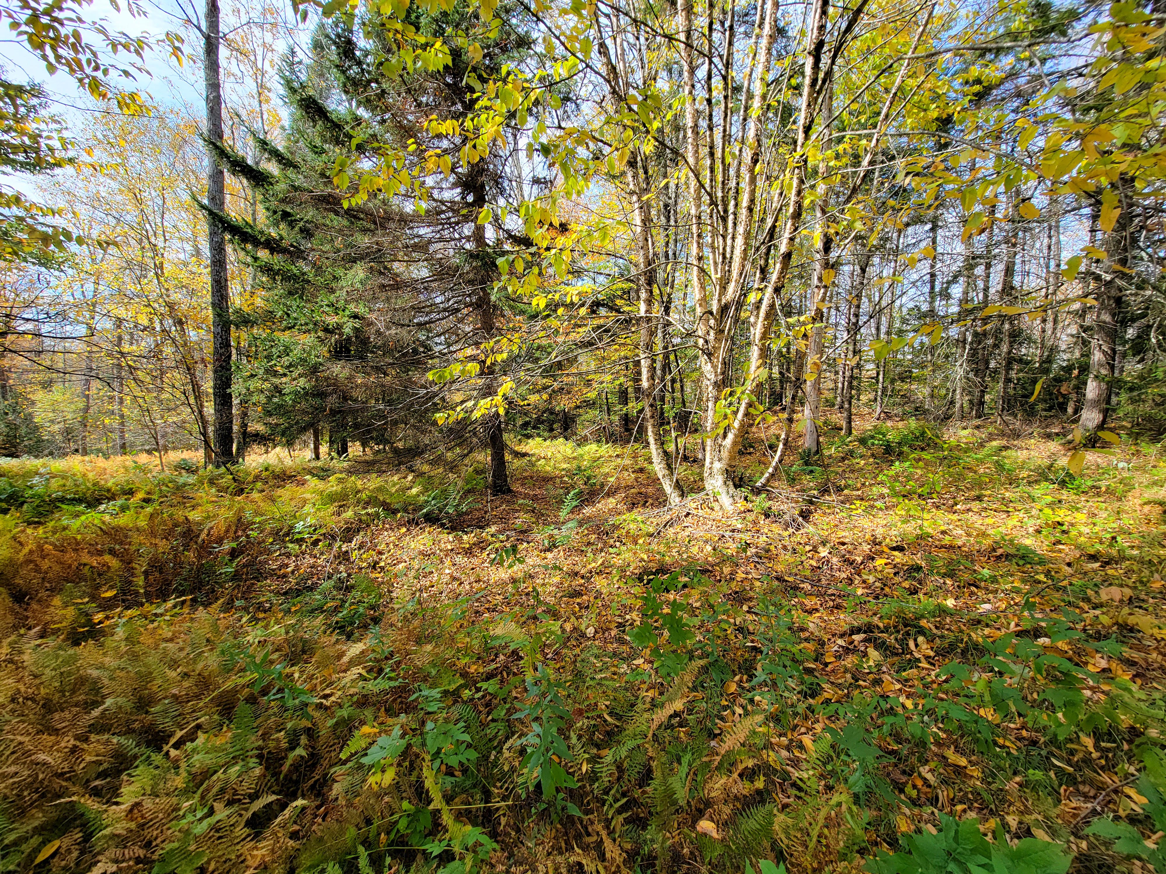 Listing Image 46