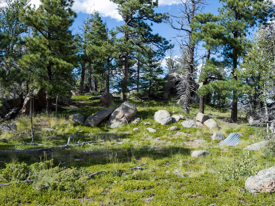 Listing Image 6
