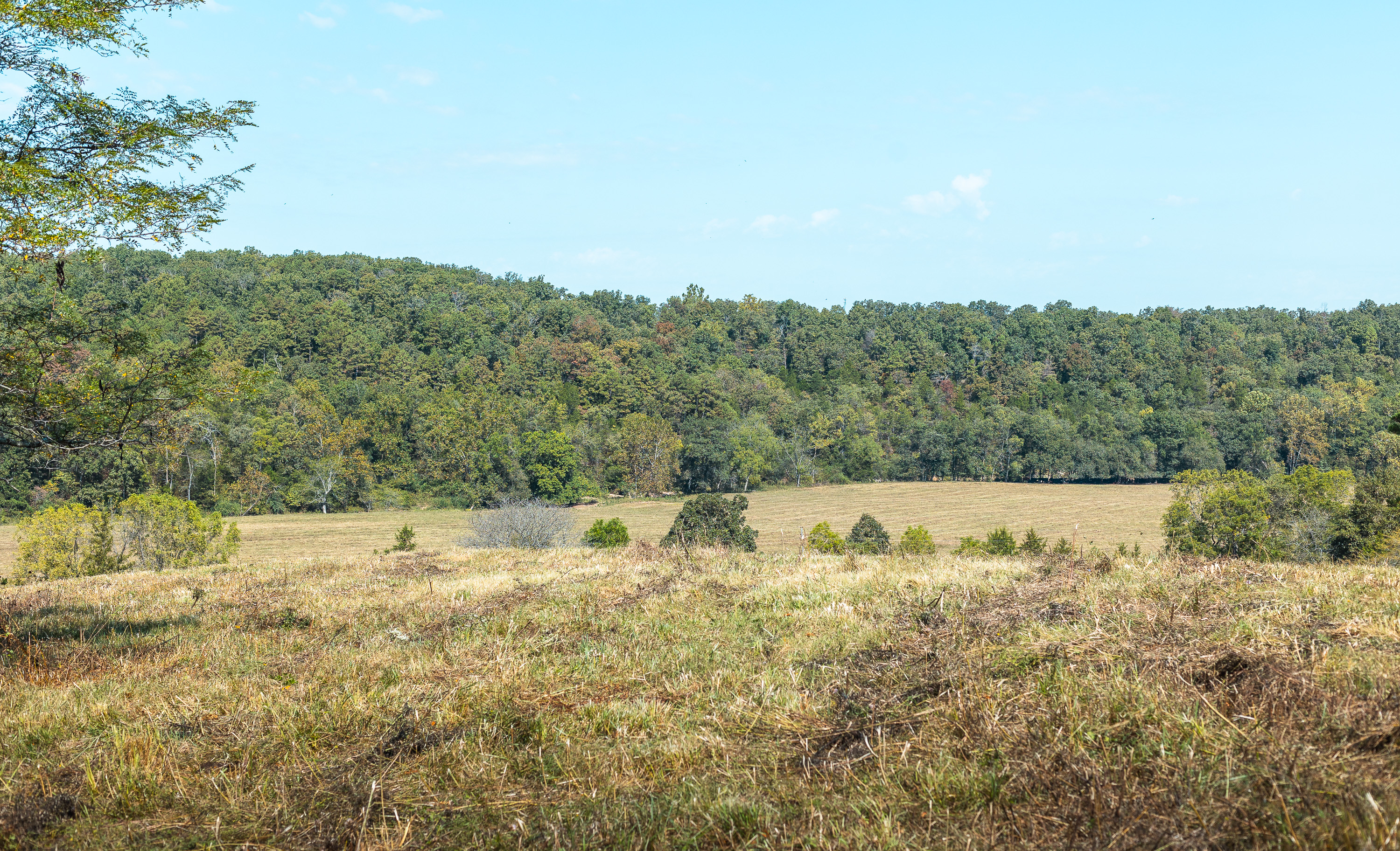 Ashley Creek Ranch 329