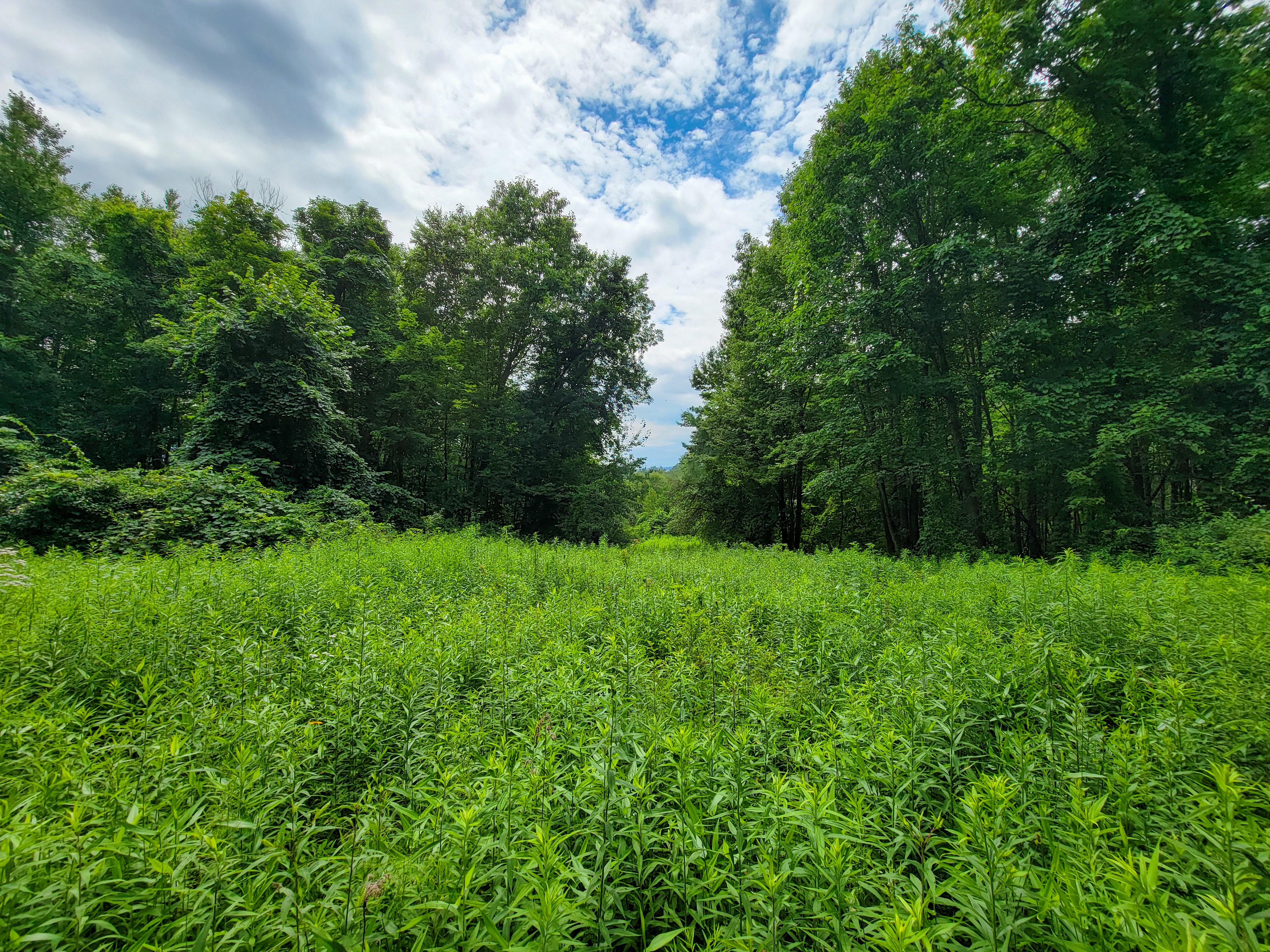 1073 Chapel Rd - Bennington