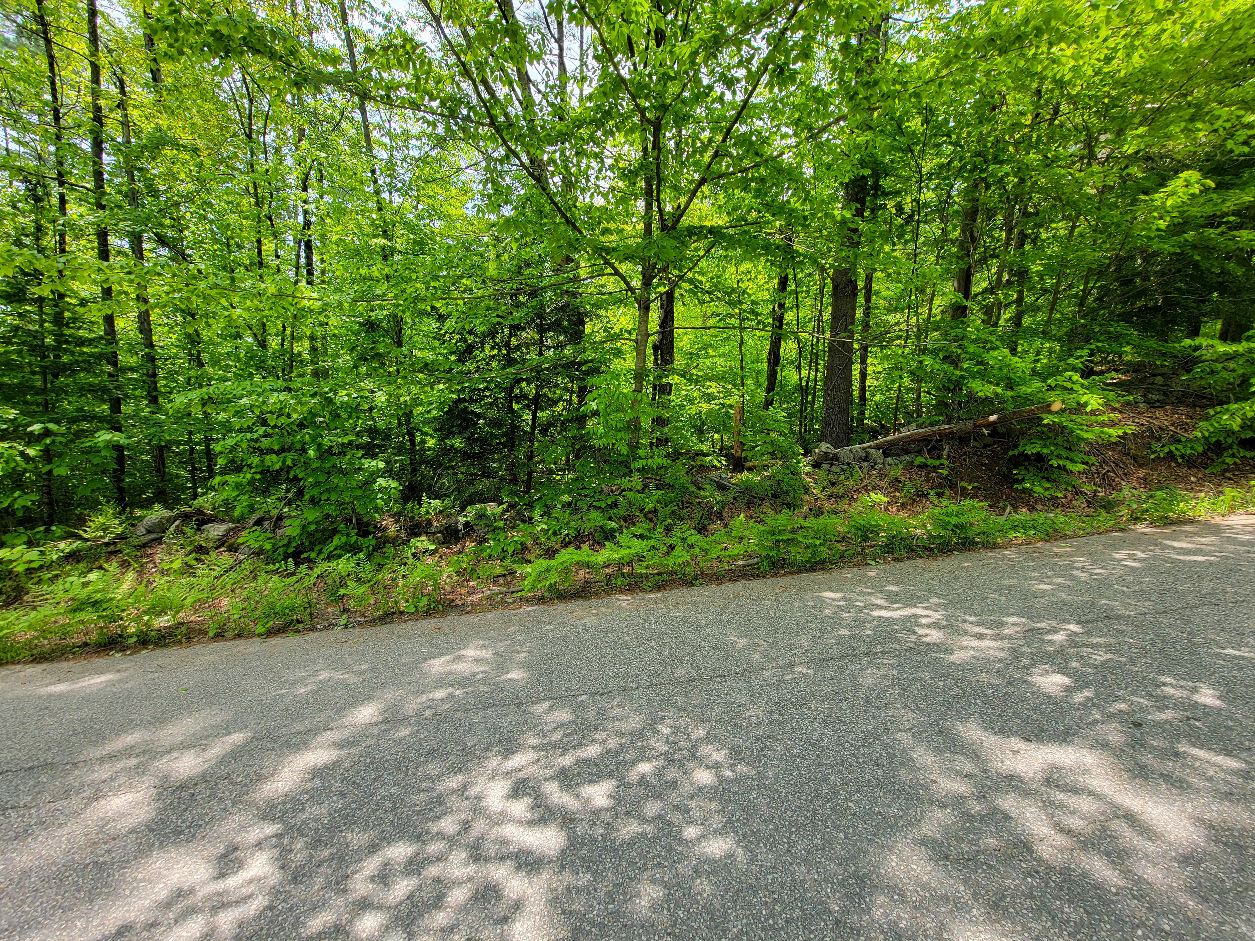 1105 South Hill Rd - Jamaica