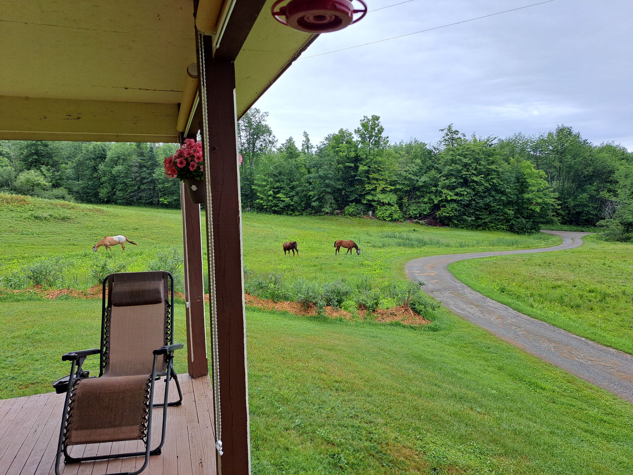 Listing Image 48