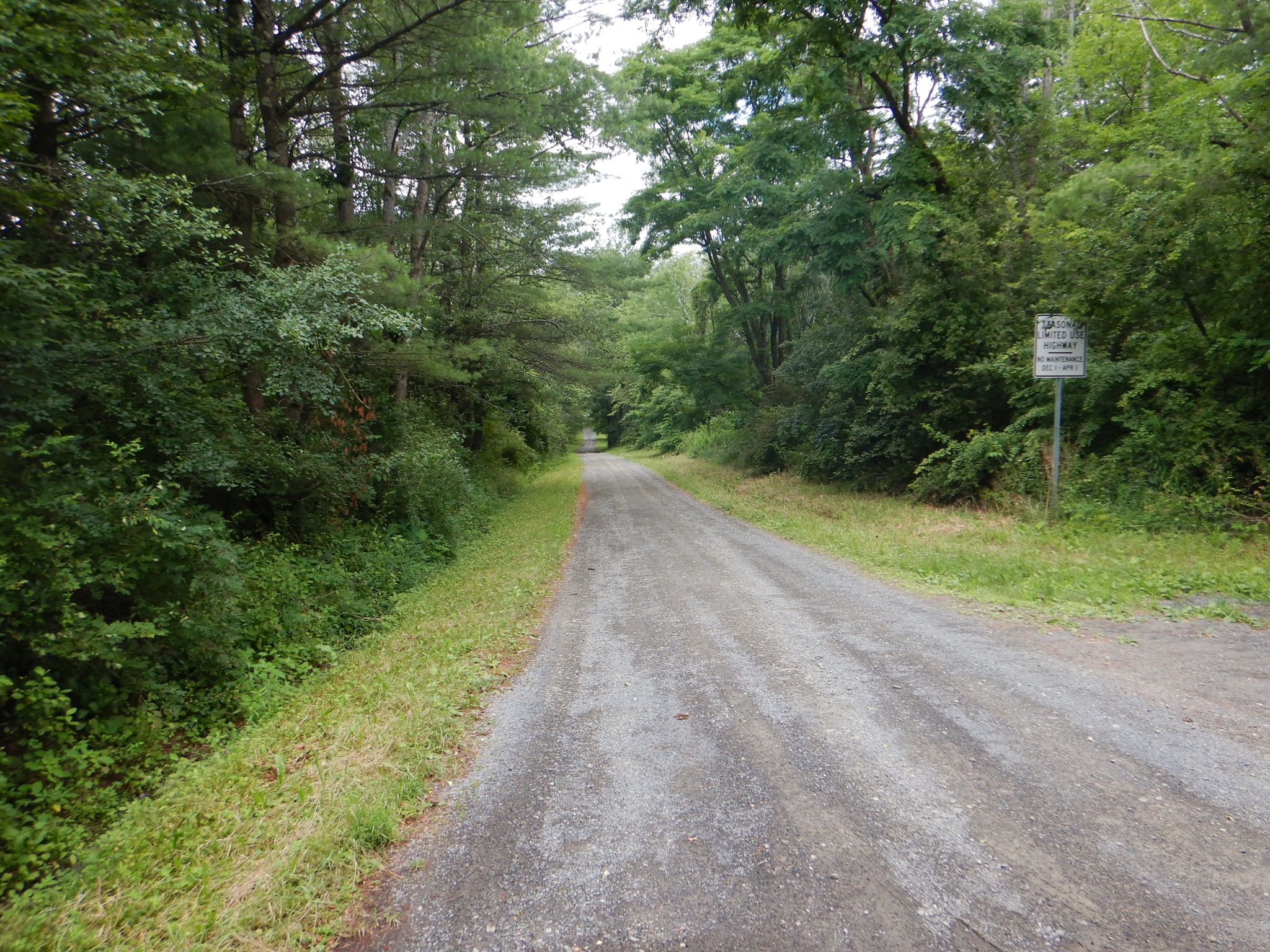 Listing Image 28