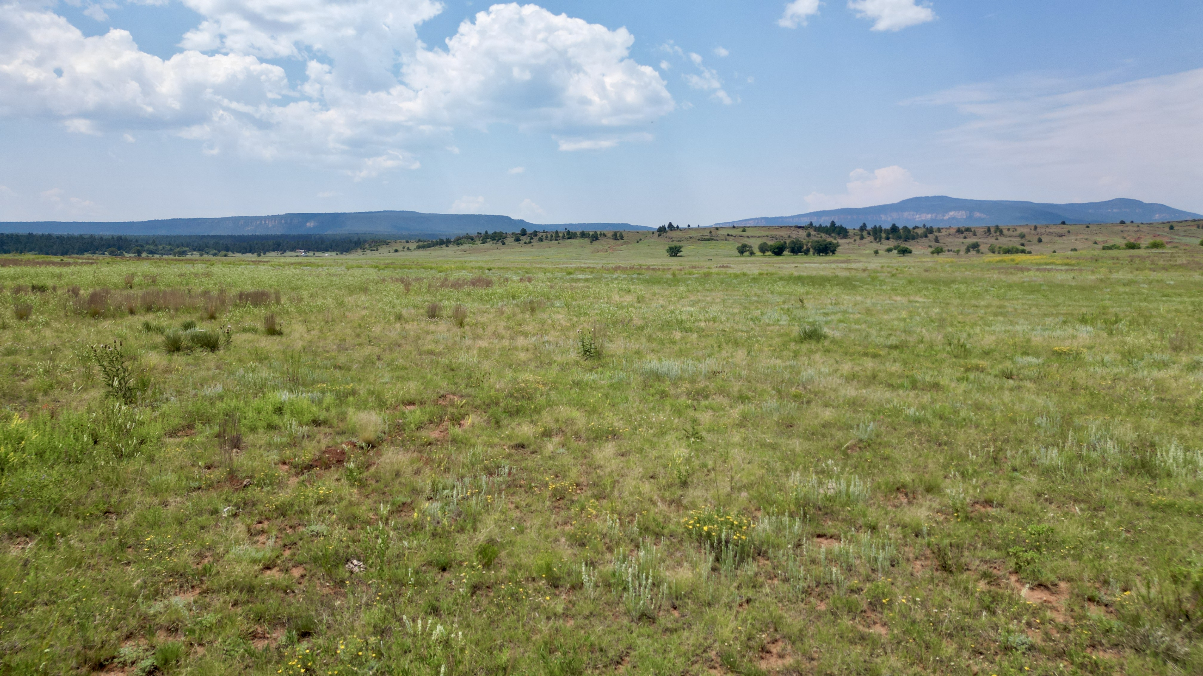 OLC Ranch
