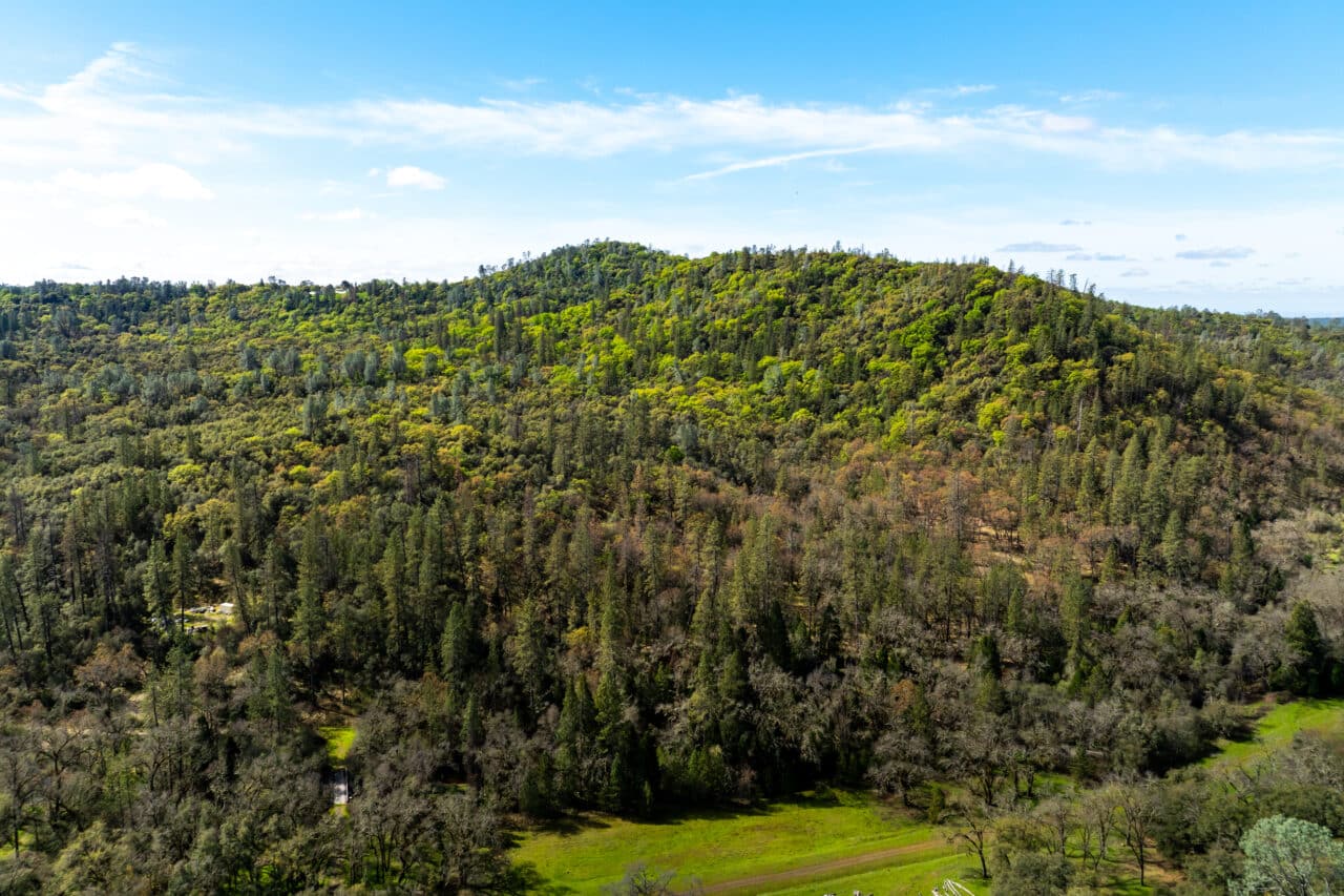 Hyatt Ranch