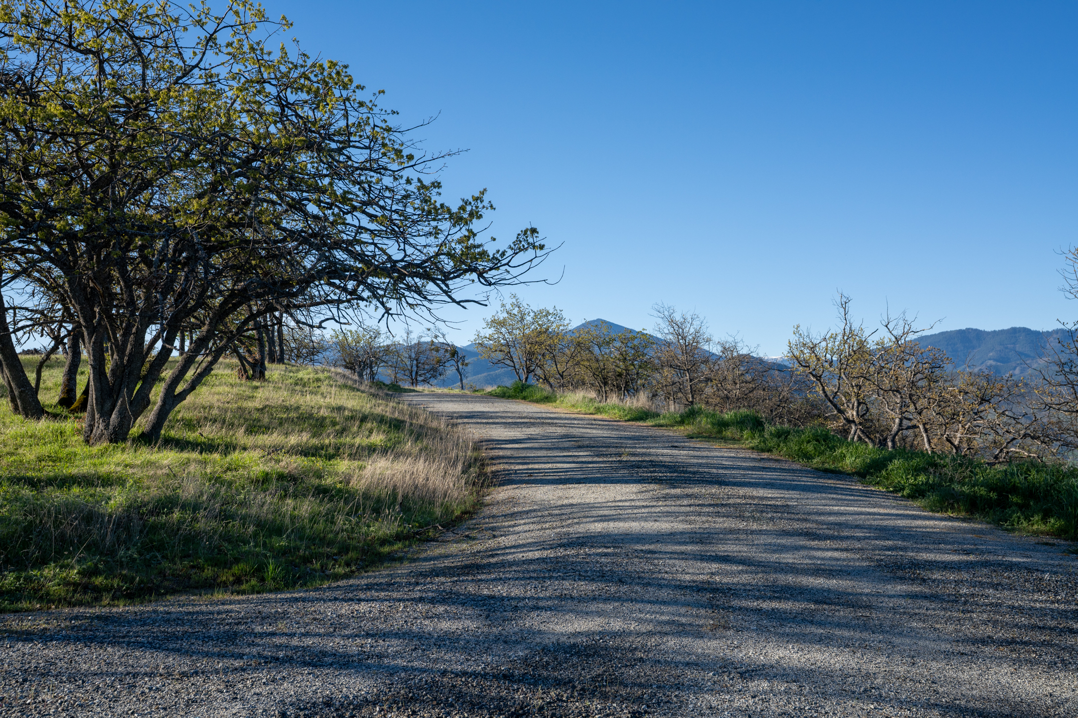 500 Canyon Hills Dr.