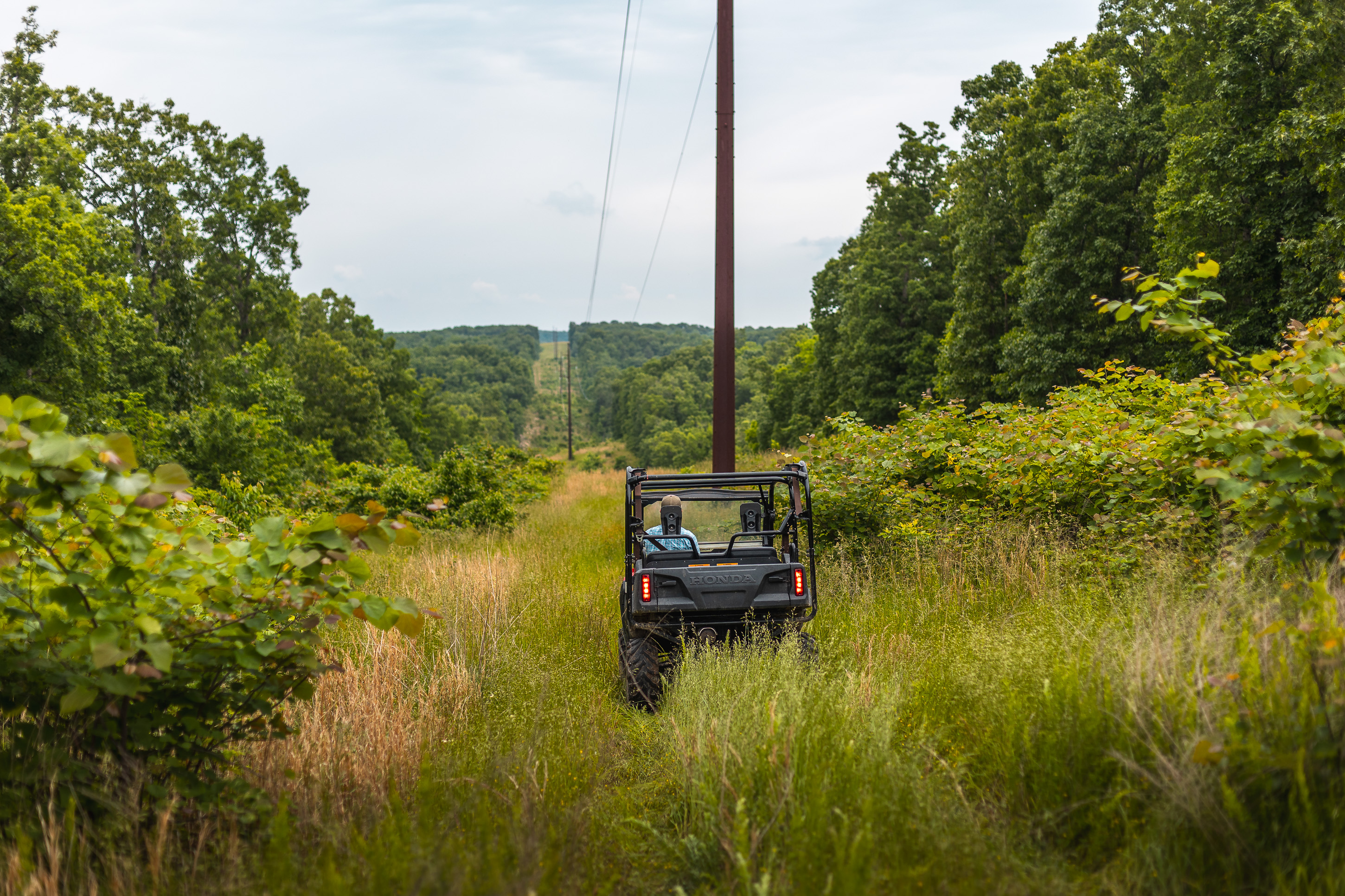 Long Ridge 700