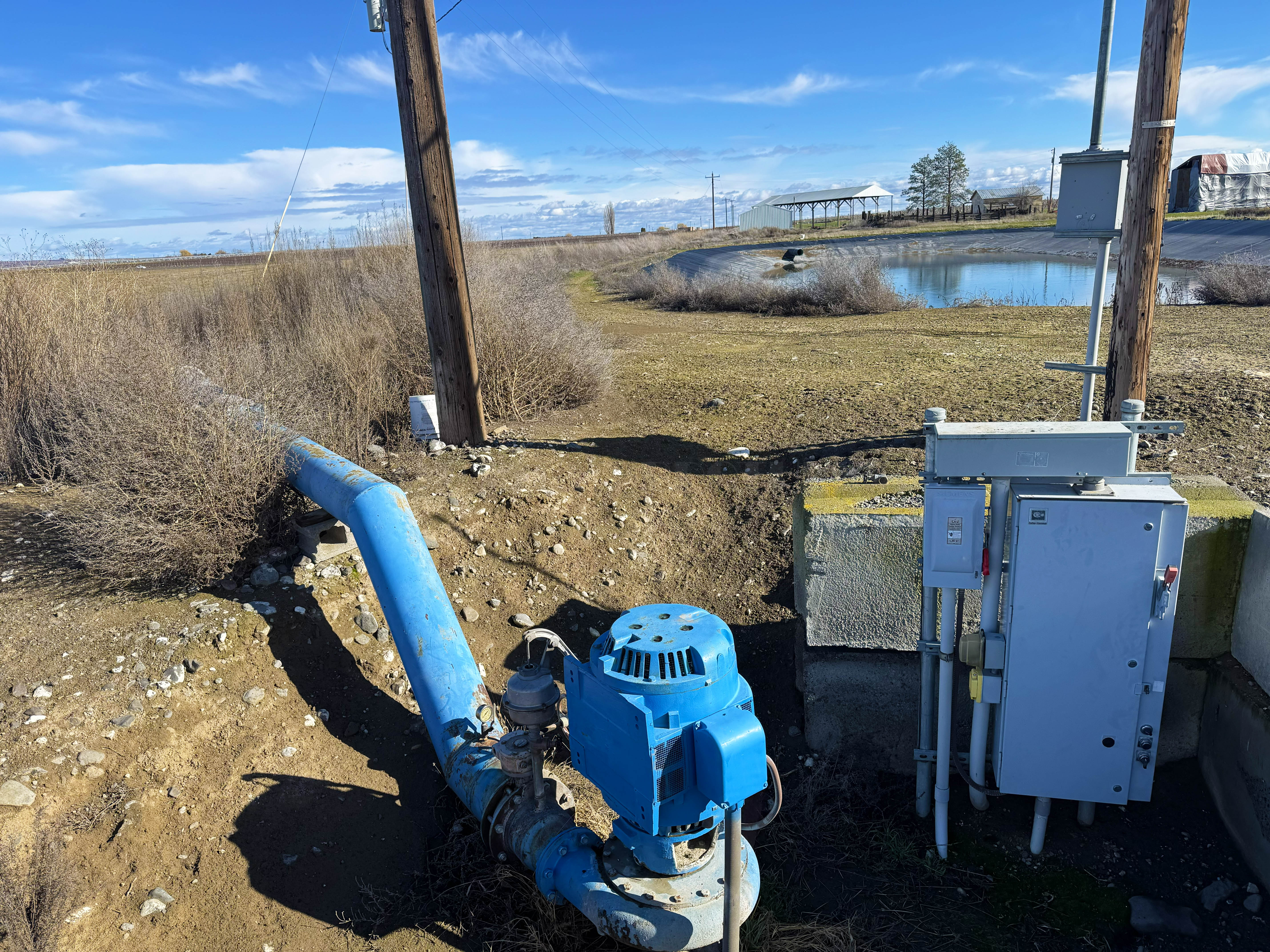 Fern Road Irrigated farm
