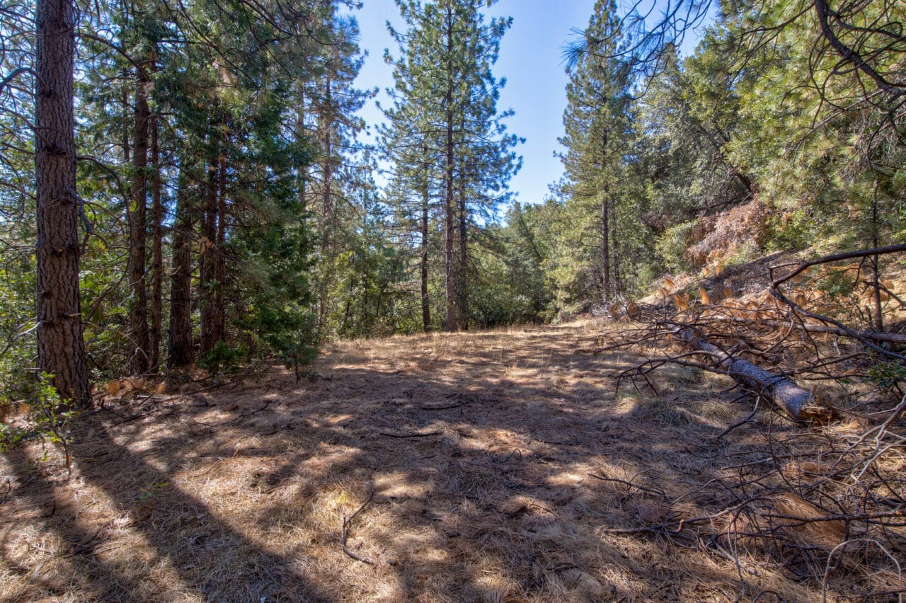 Listing Image 51