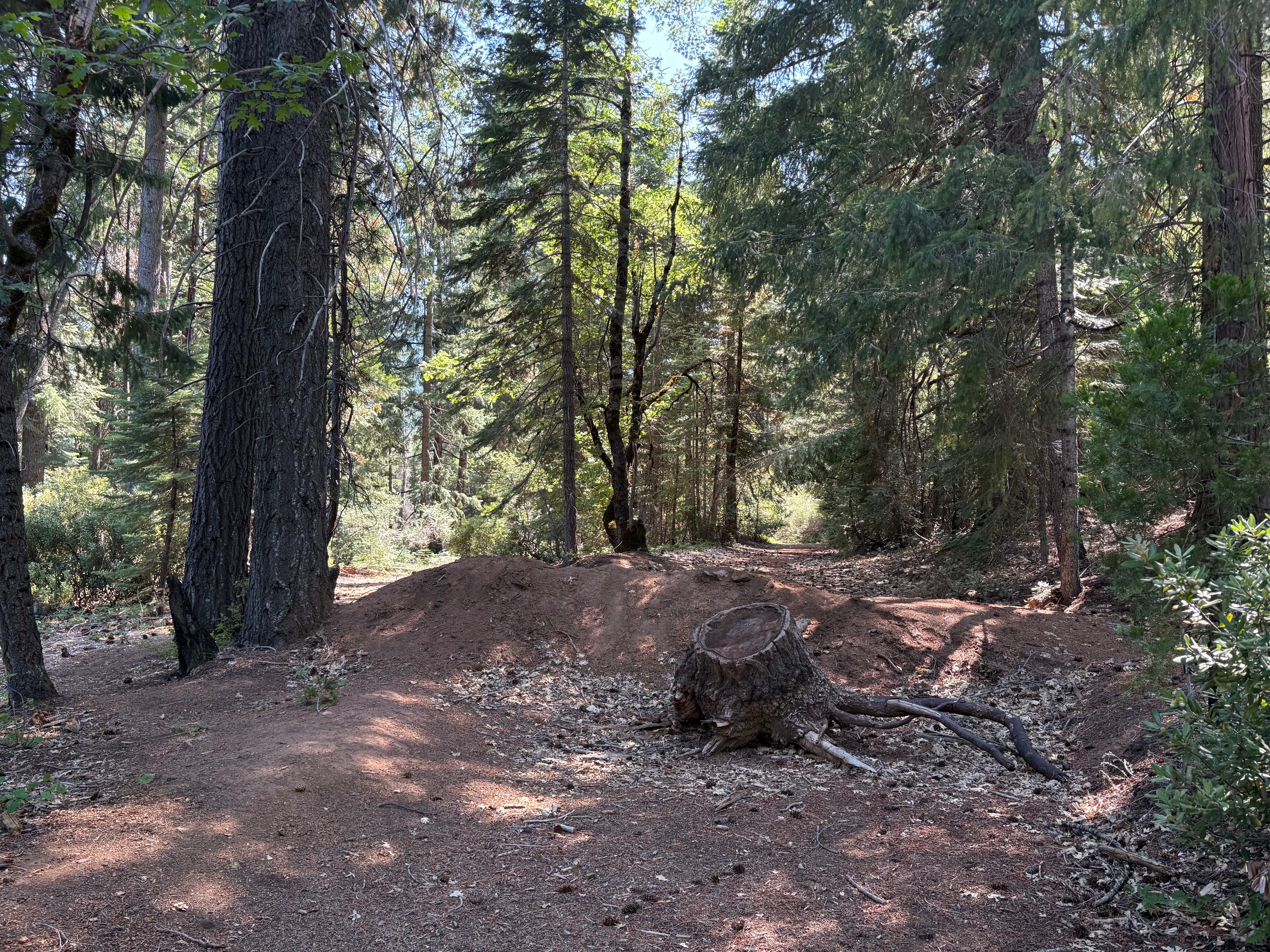 40 Acres Siskiyou (410)