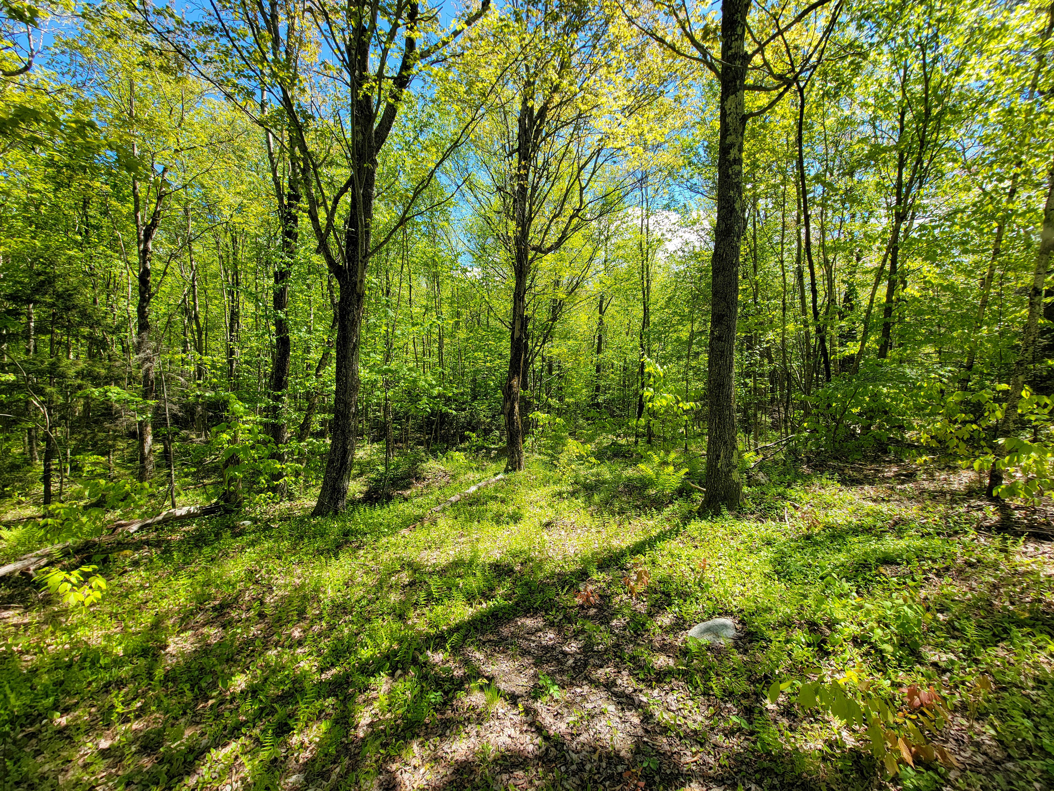 925 Hathaway Rd - Goshen