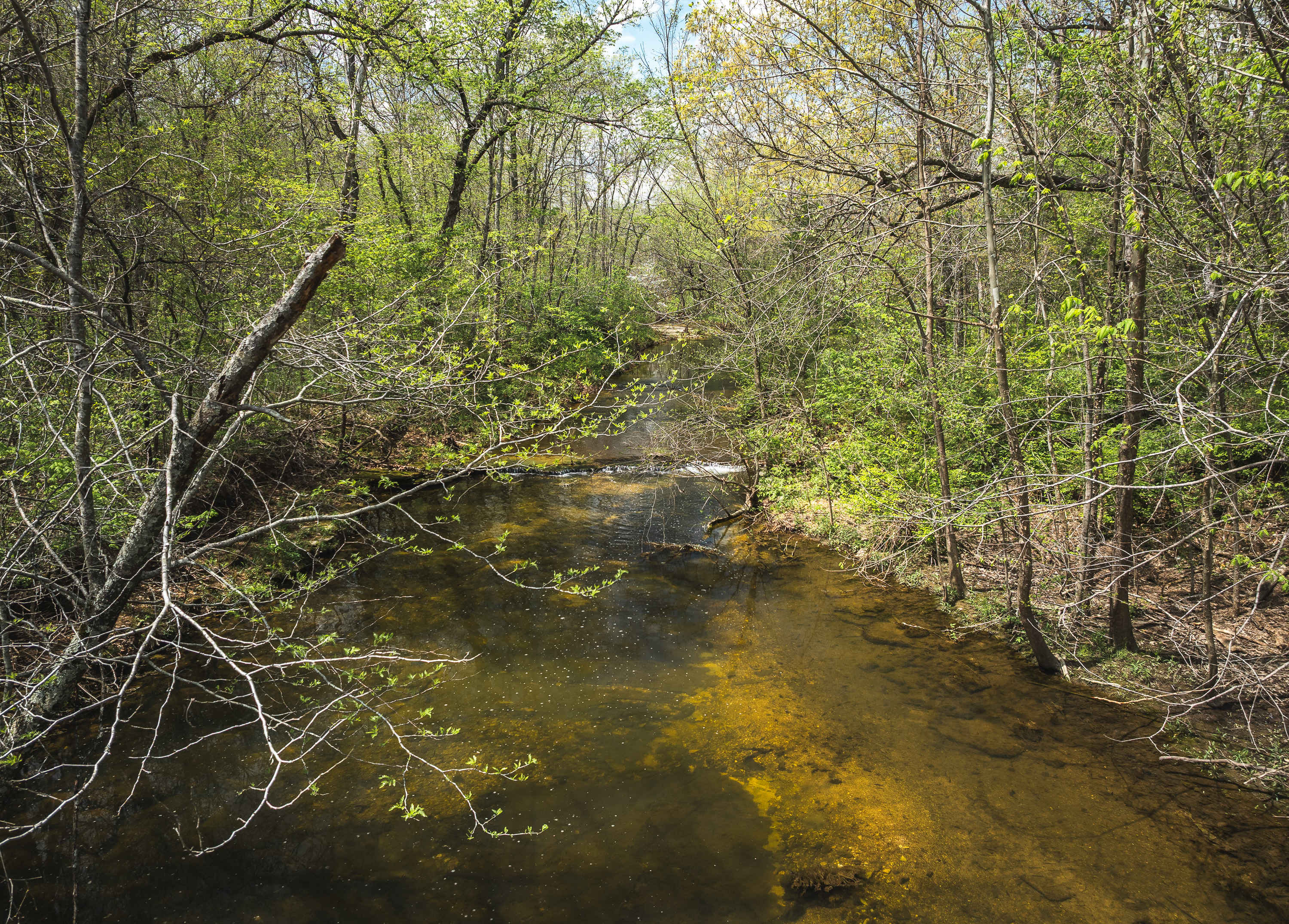 Hawkwood Trail