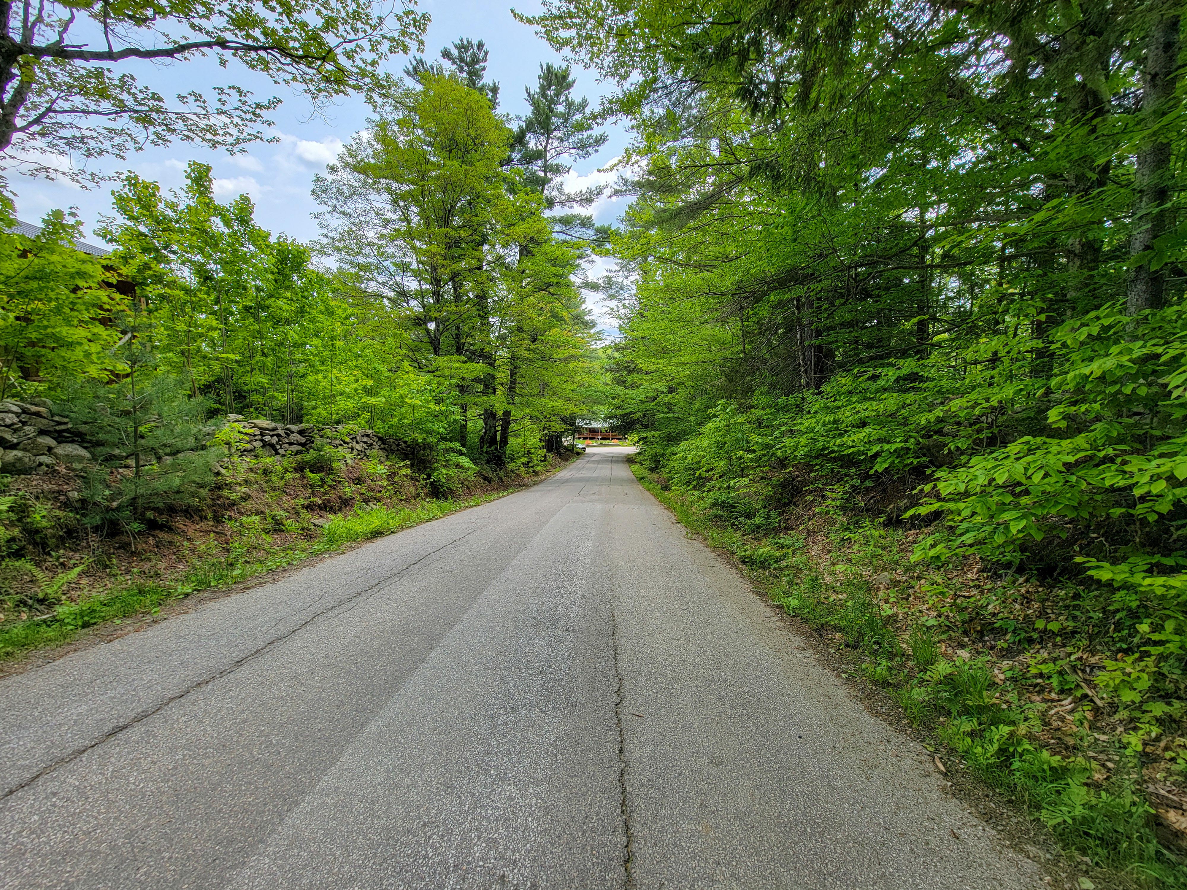 1105 South Hill Rd - Jamaica