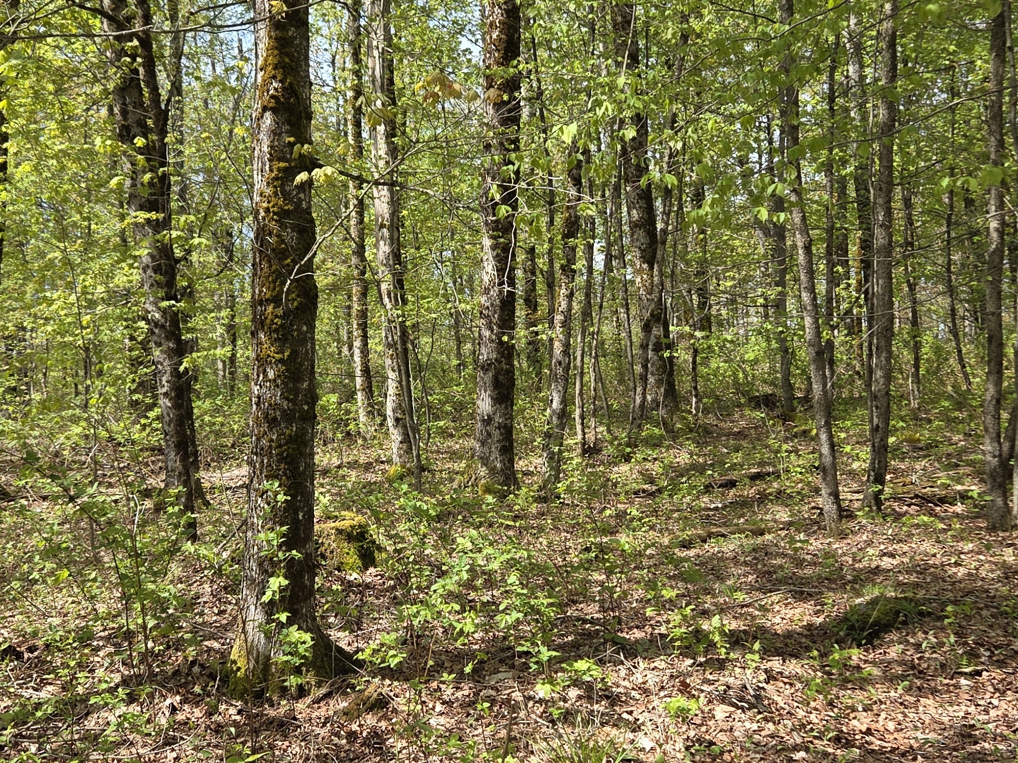 Listing Image 27