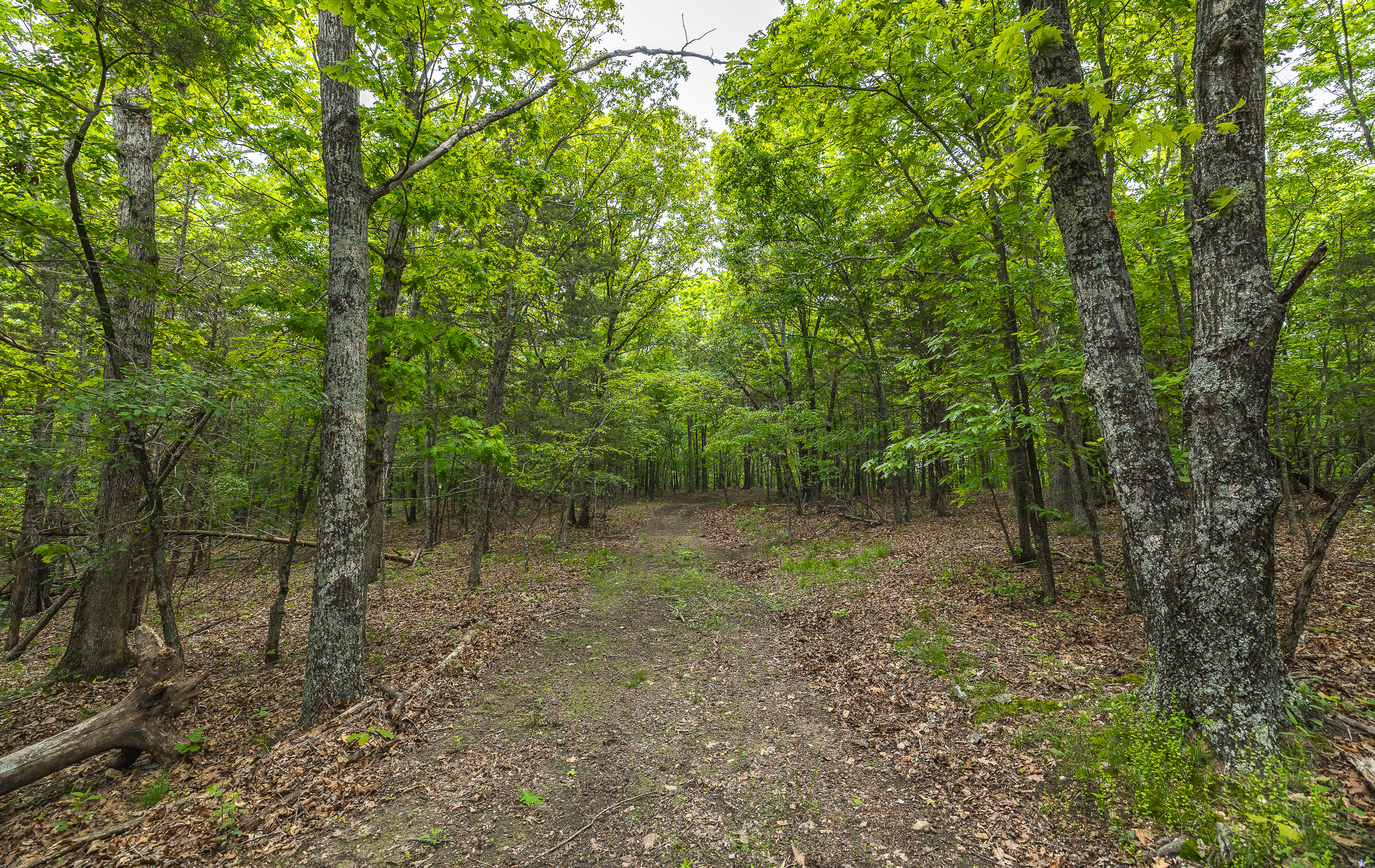 Waters Edge on the Gasconade River Tract 1