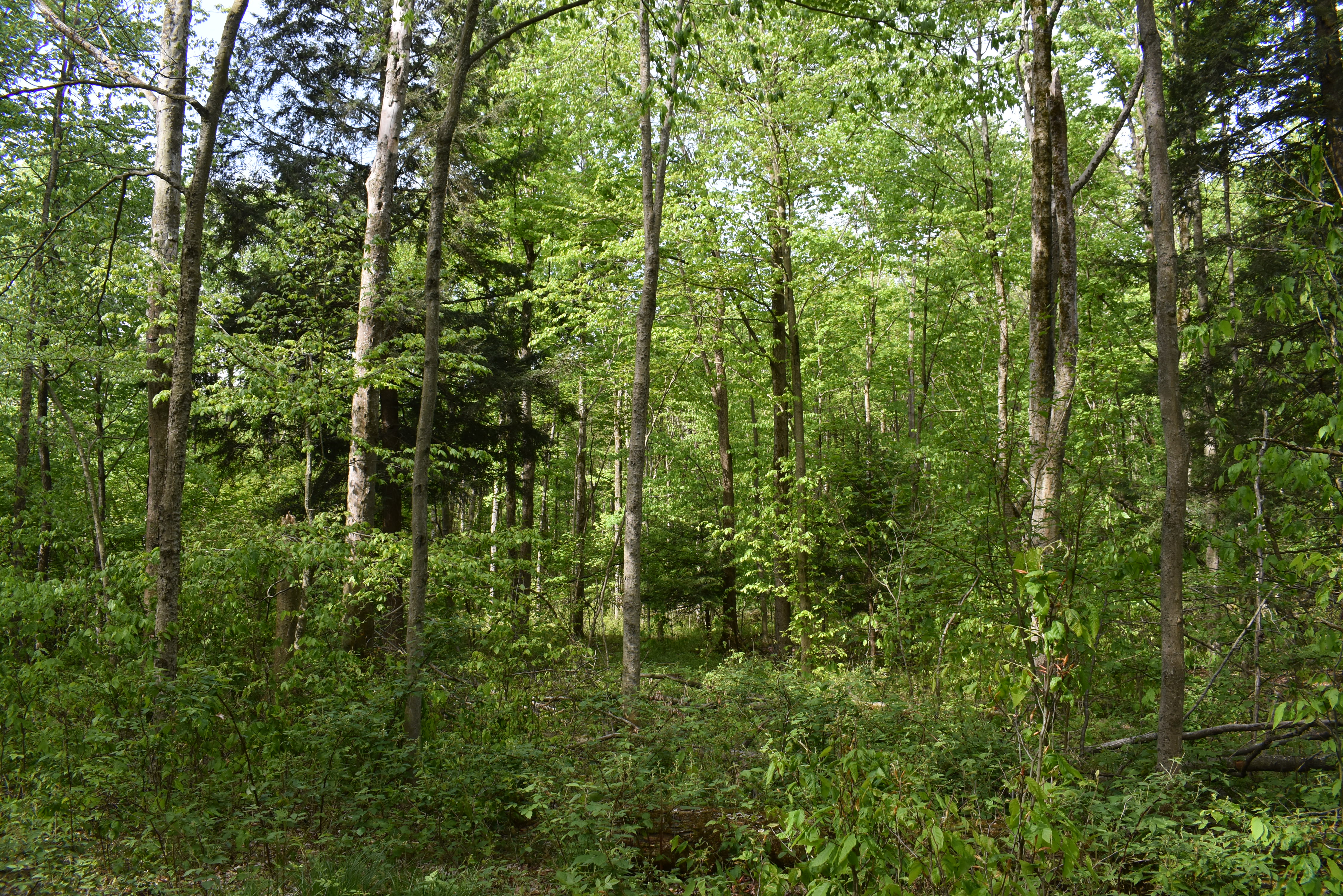 Listing Image 6