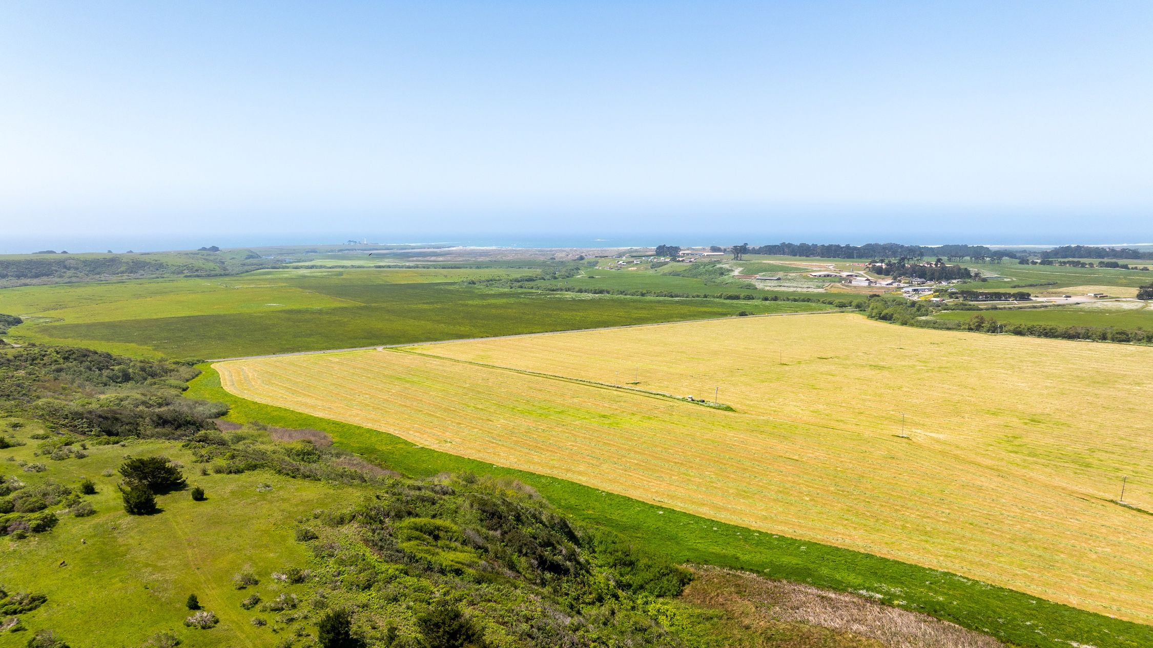 Listing Image 61