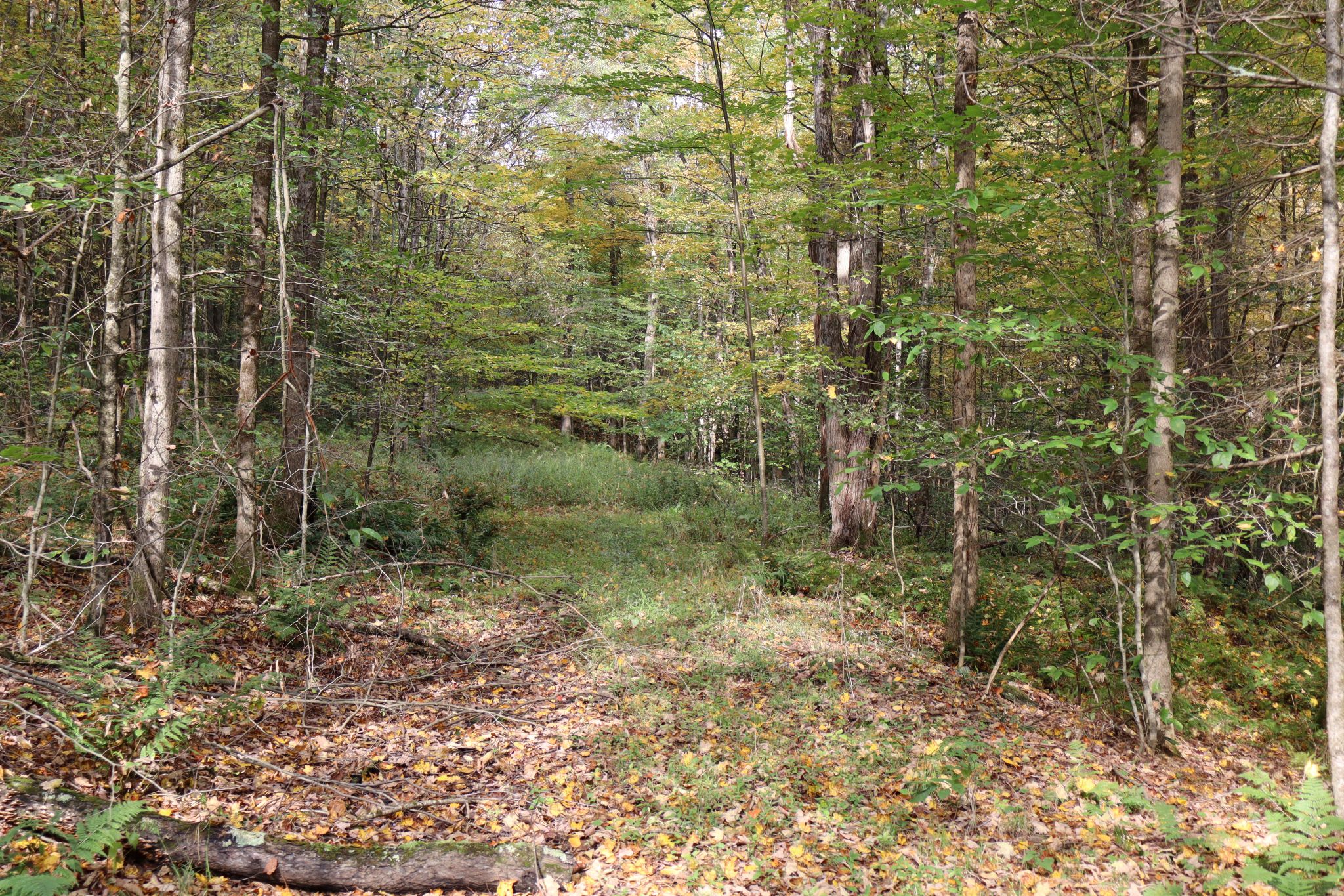 Listing Image 18