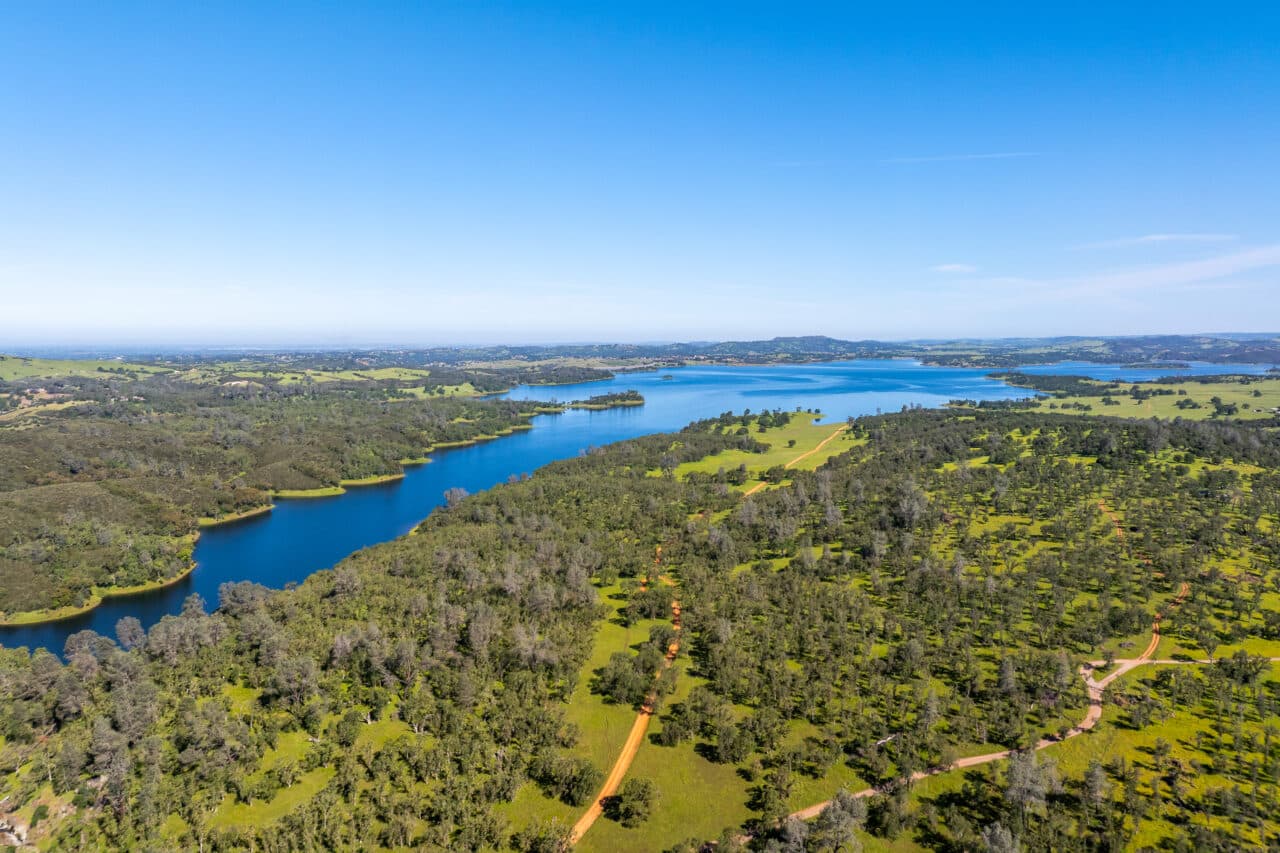 The Gann Ranch