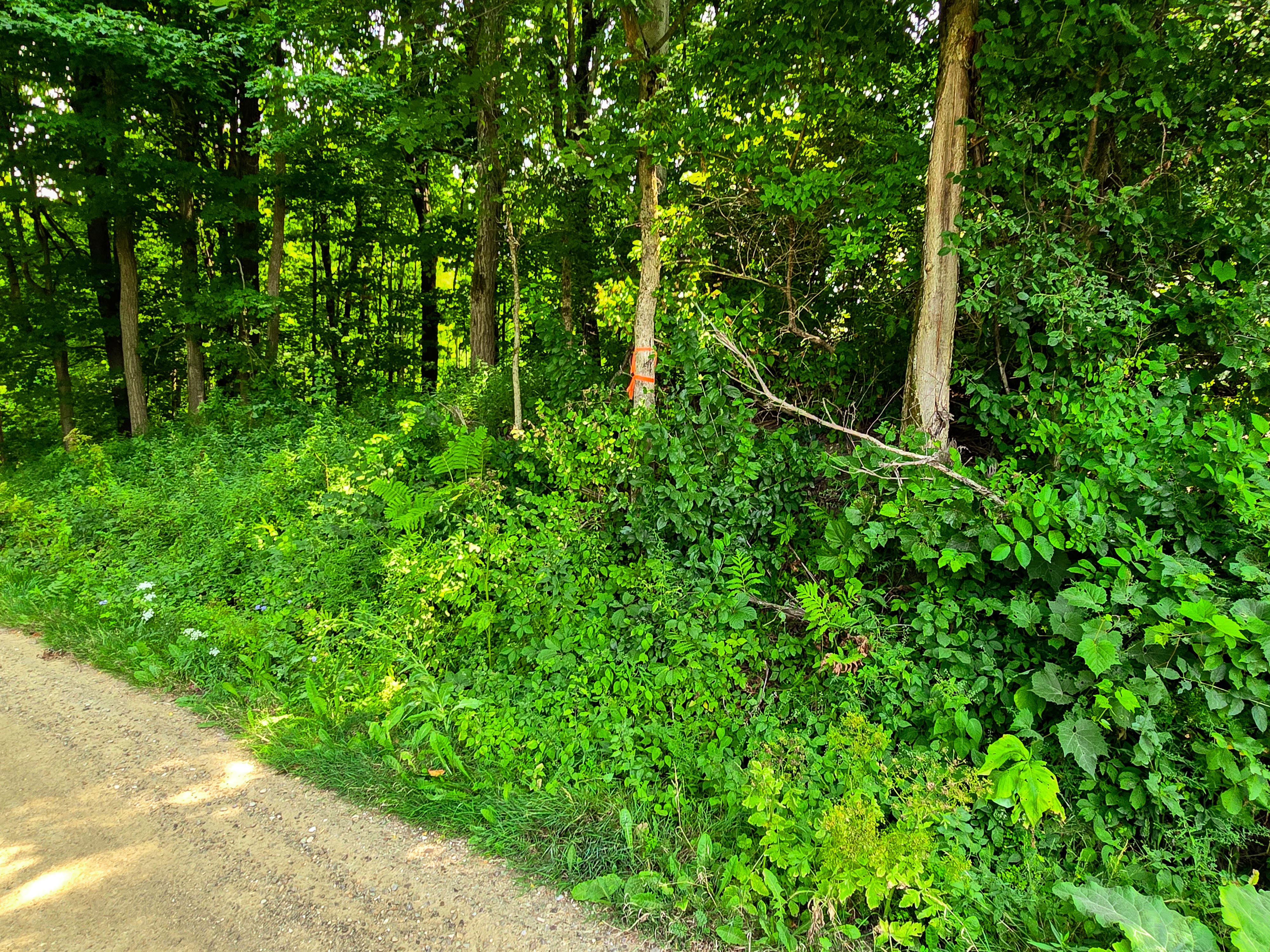 290 Ferson Rd - Leicester