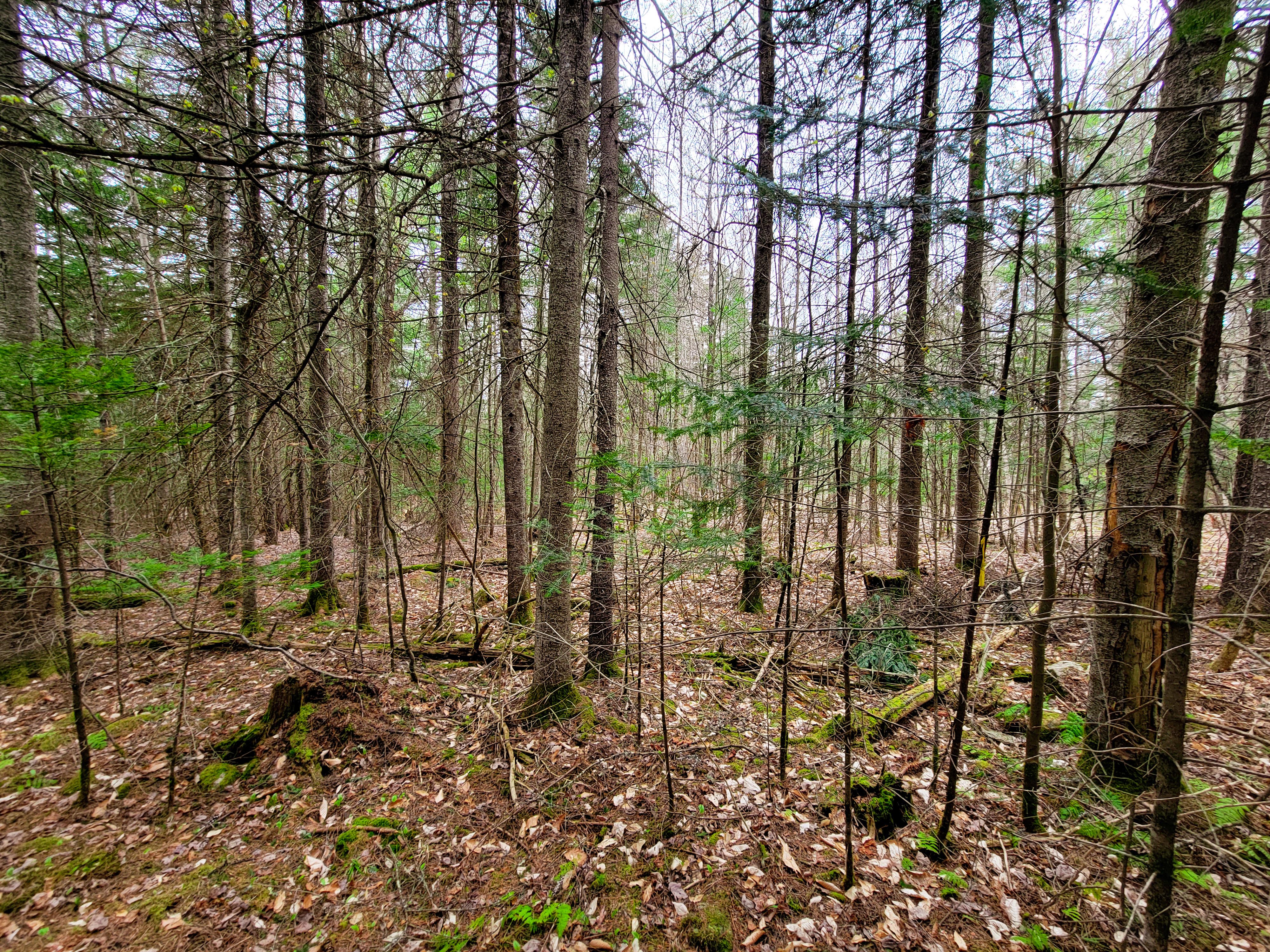 Listing Image 36