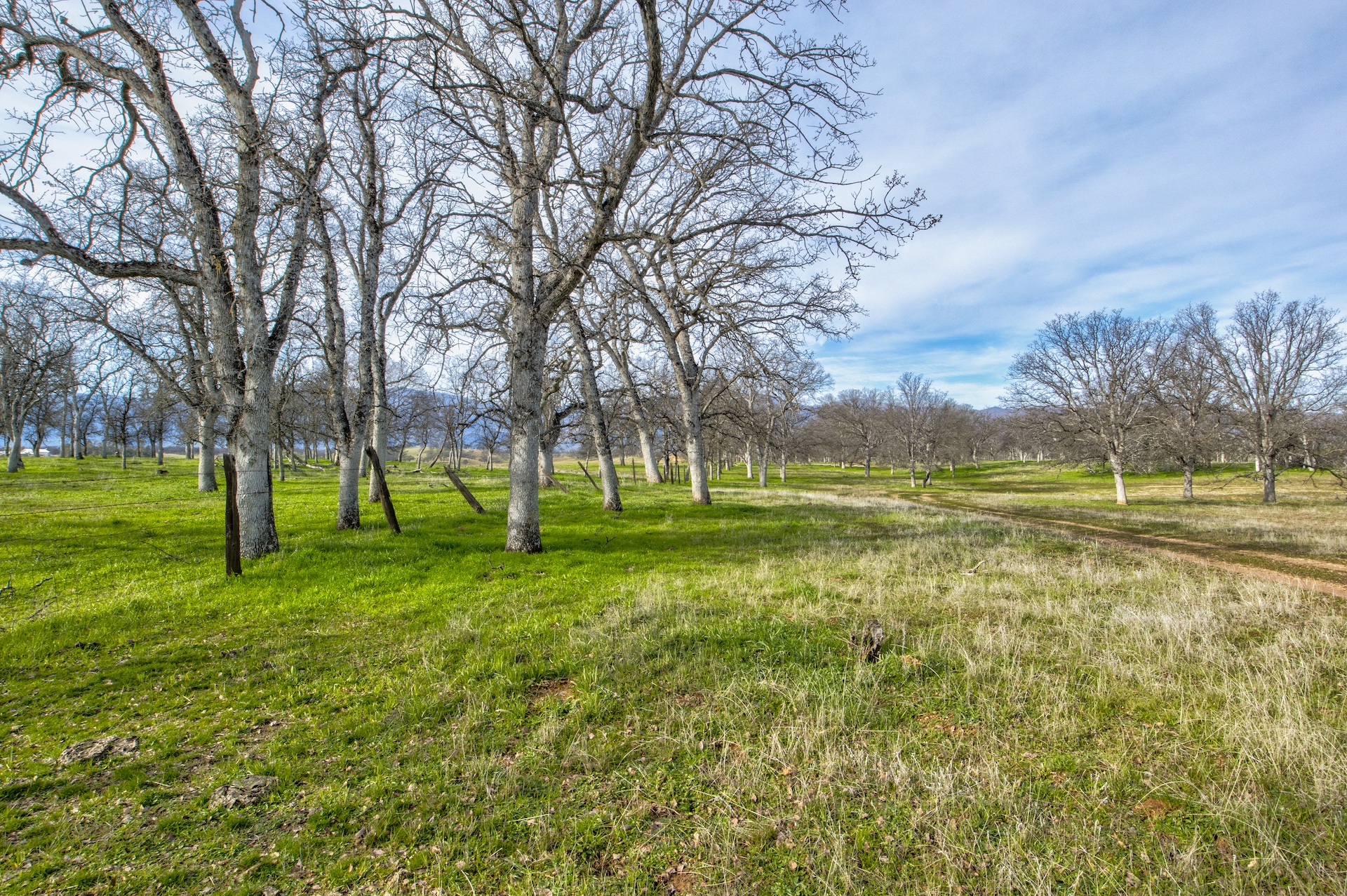 Elk Creek Ranchette