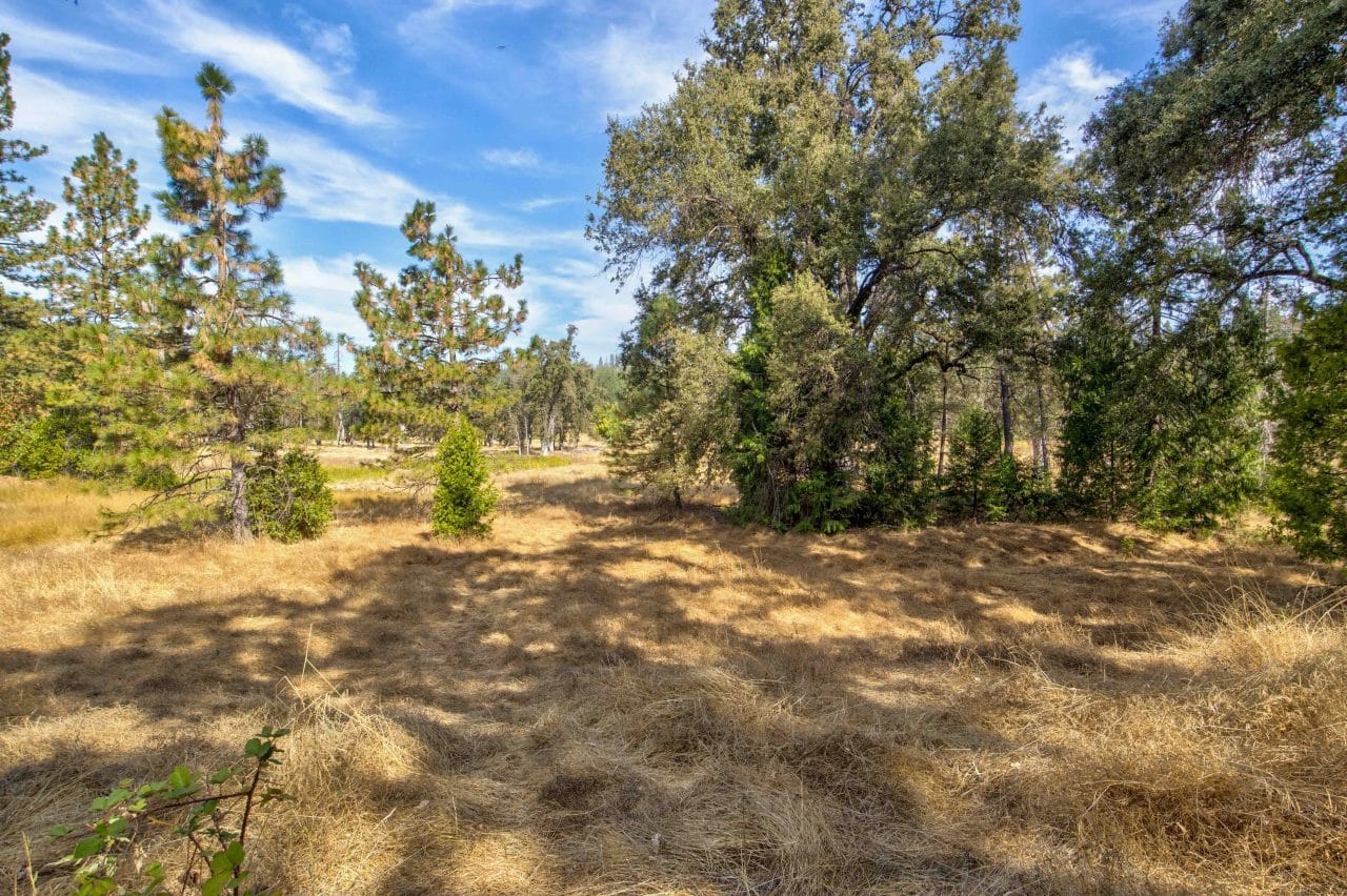 Listing Image 36