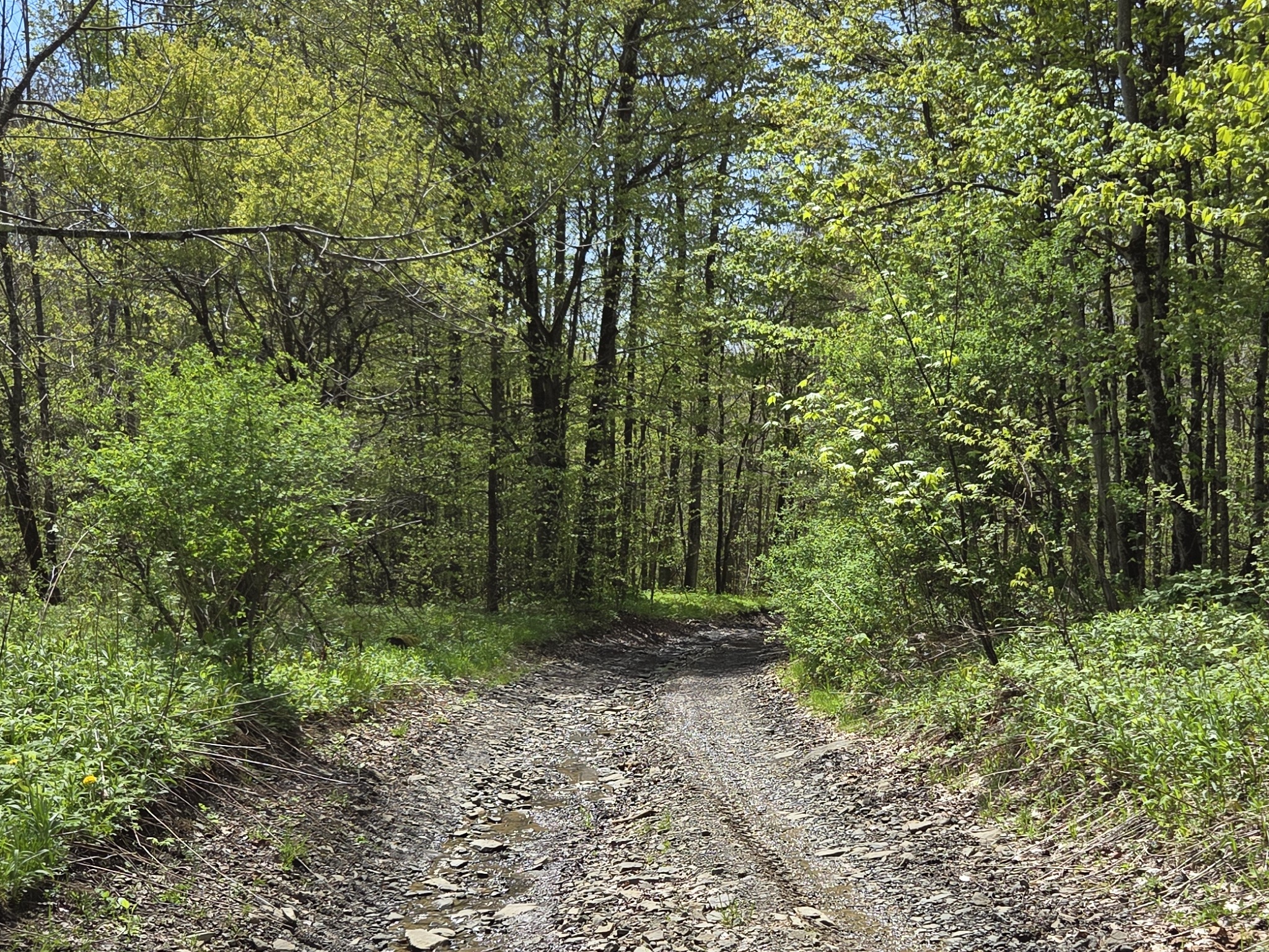 Listing Image 21