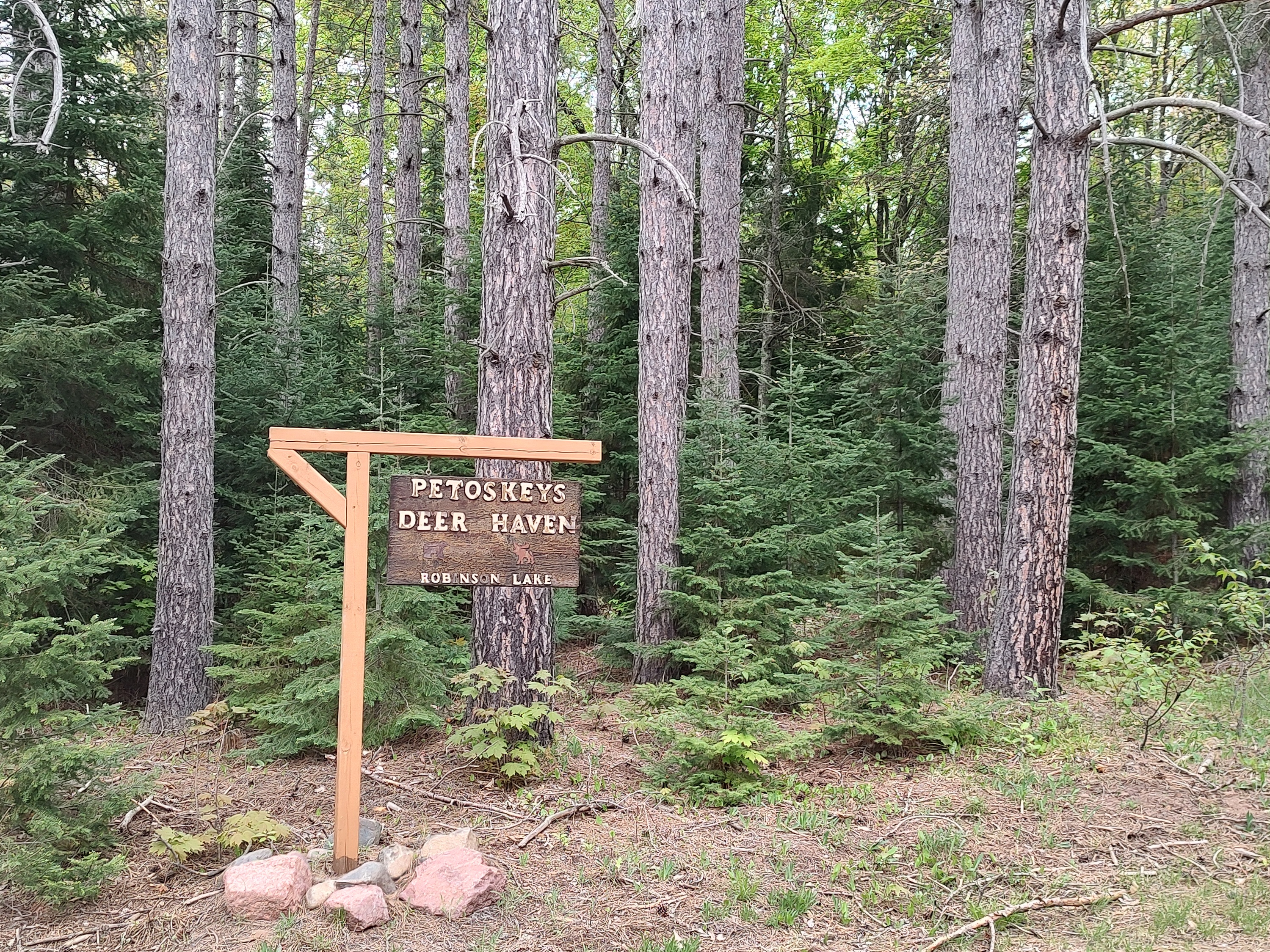 U.P. Robinson Lake Parcel 50167828