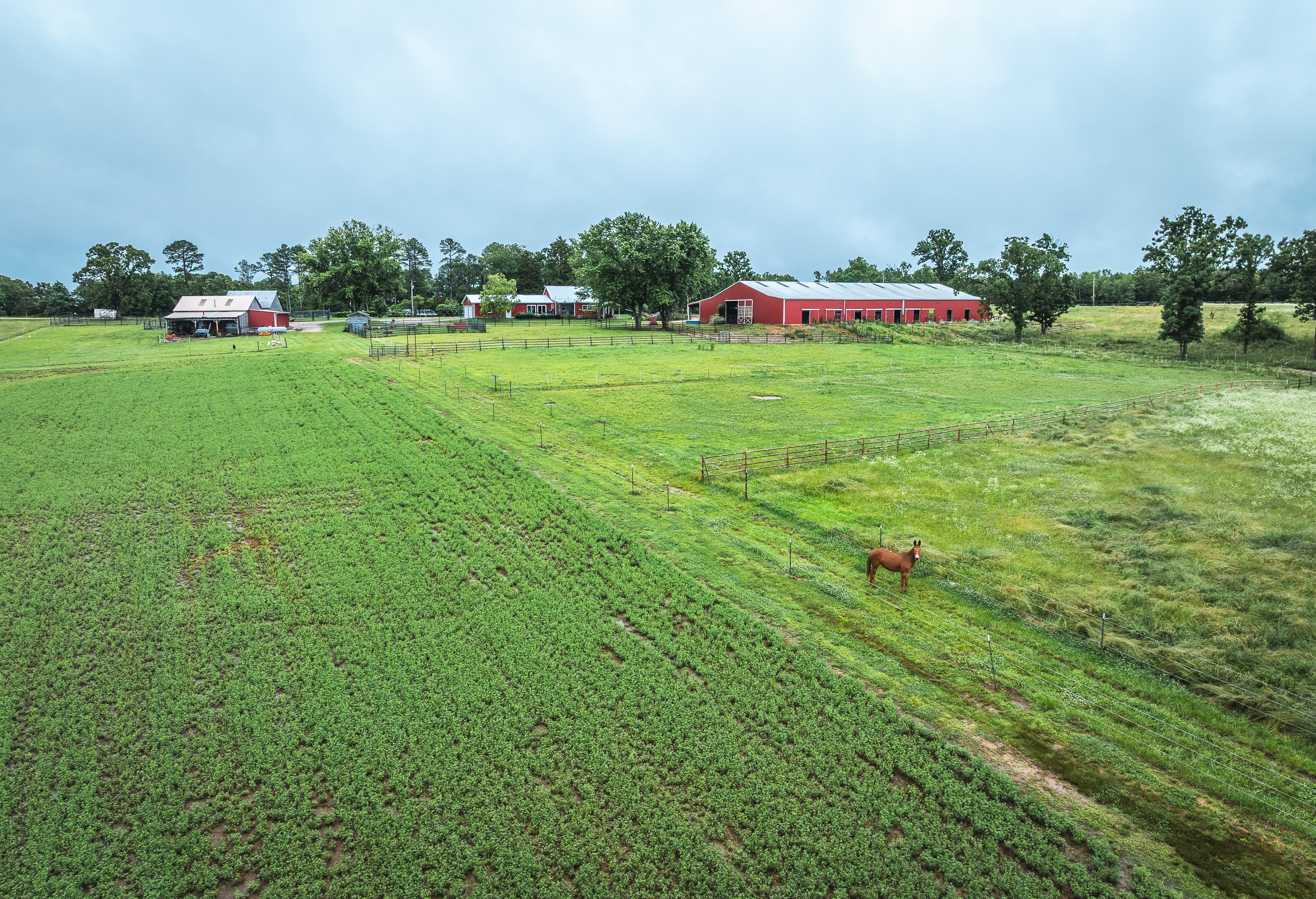 T-Cross Farm