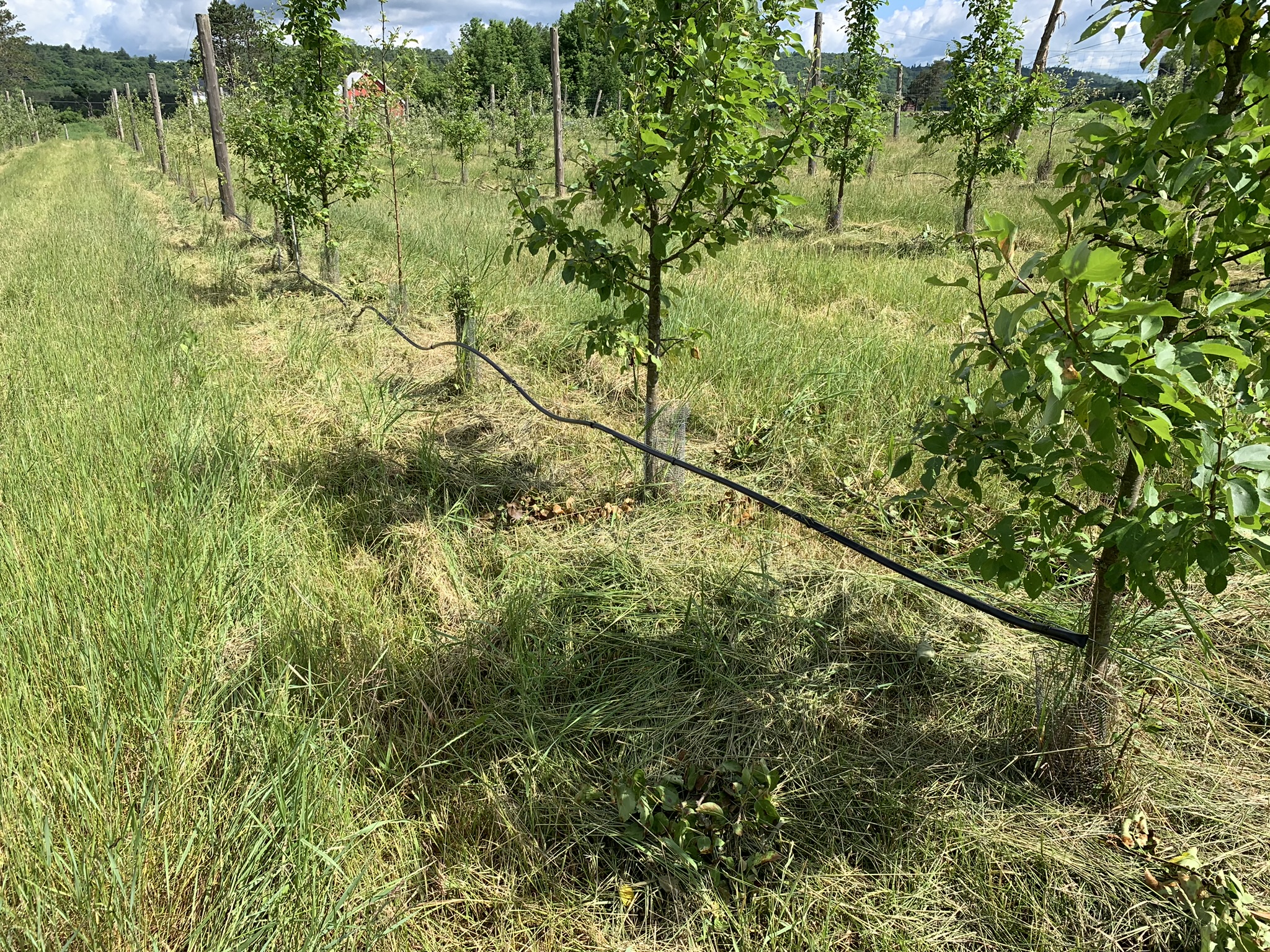 Listing Image 15