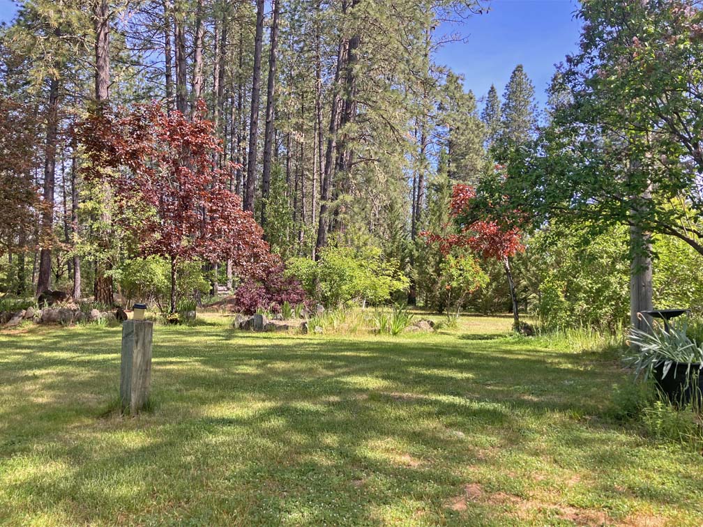 Listing Image 37