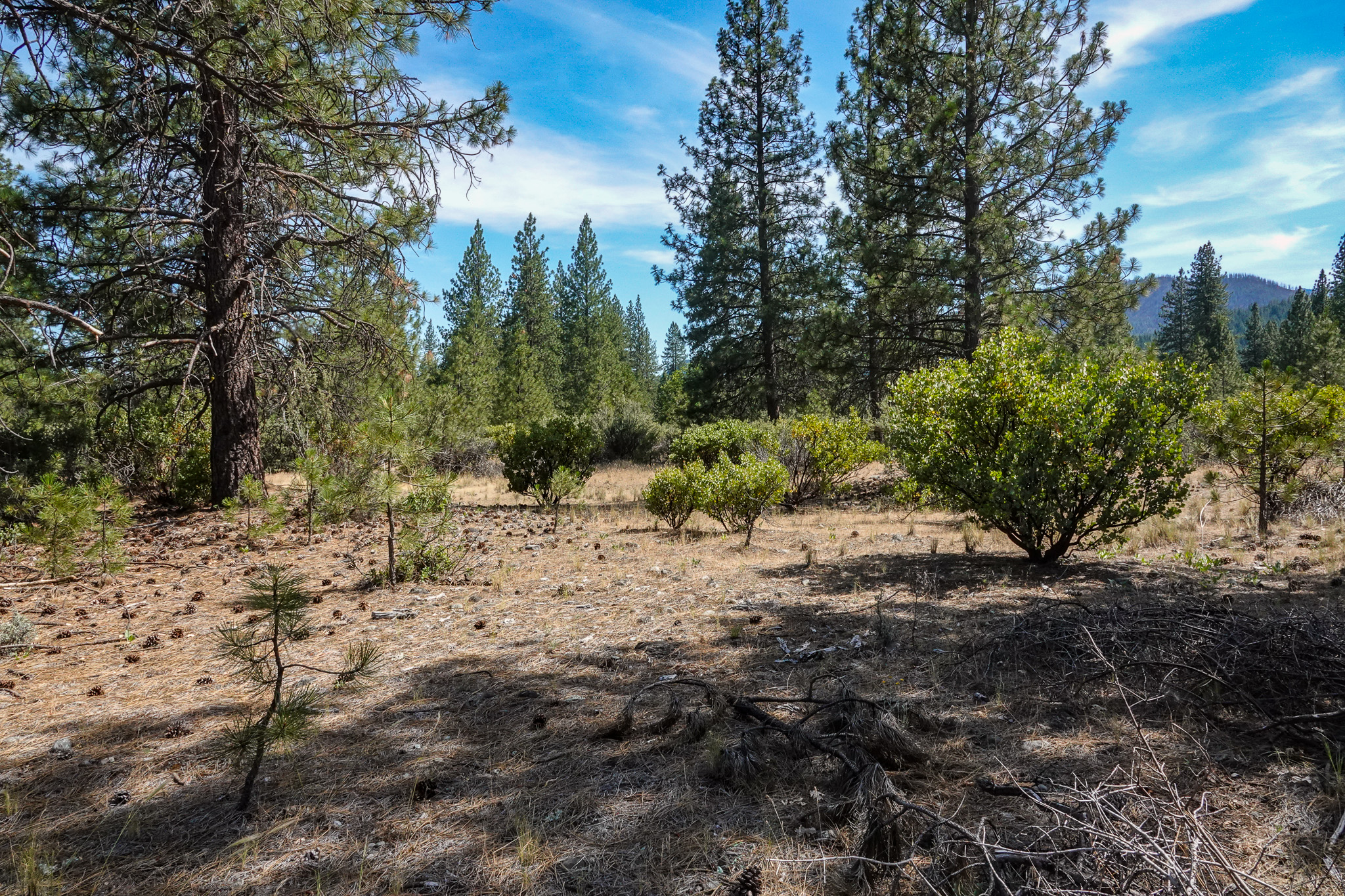 Listing Image 42