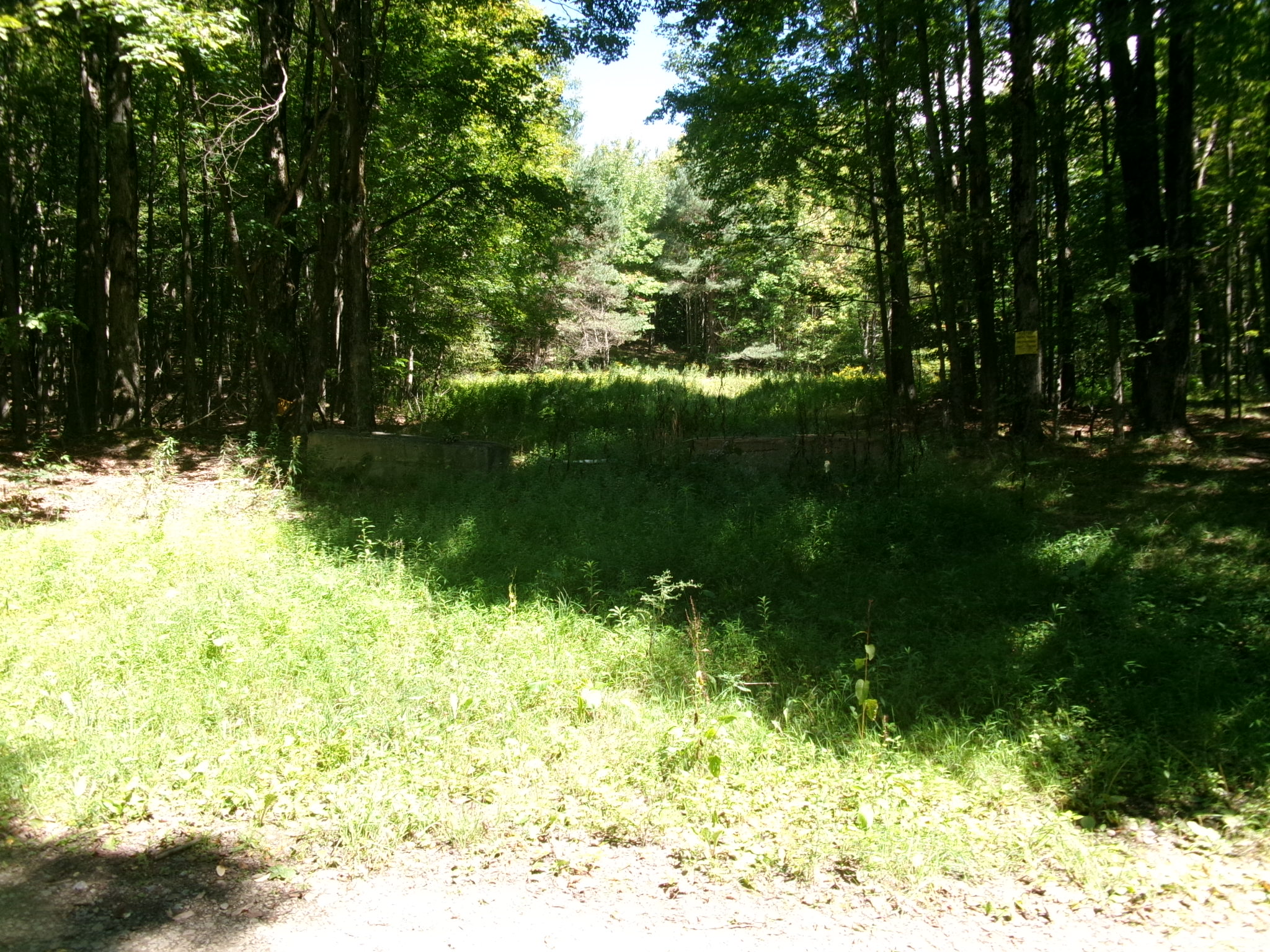 Listing Image 60